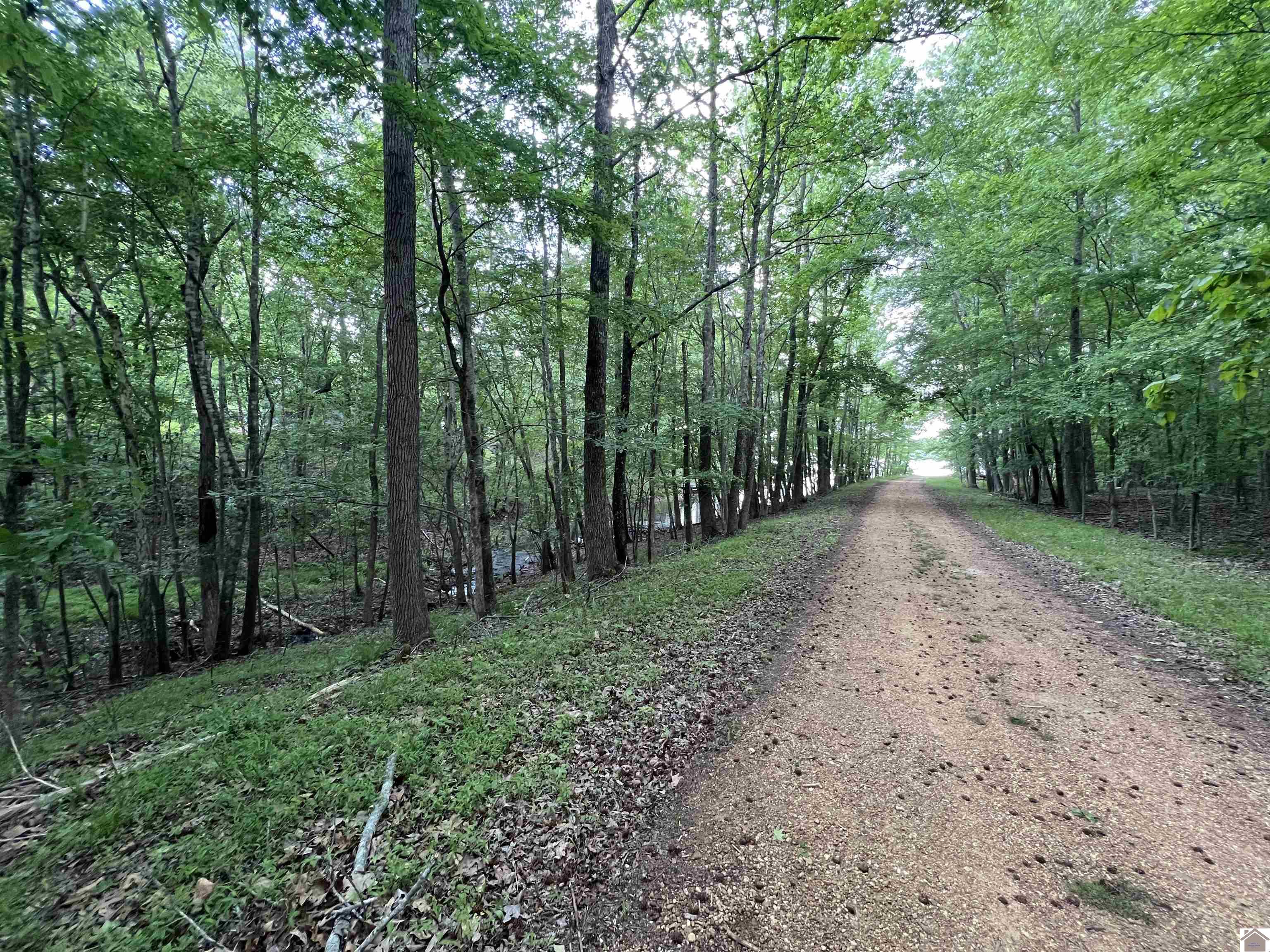 Lot 51 Block E Serenity Shores Rd. Property Photo 2