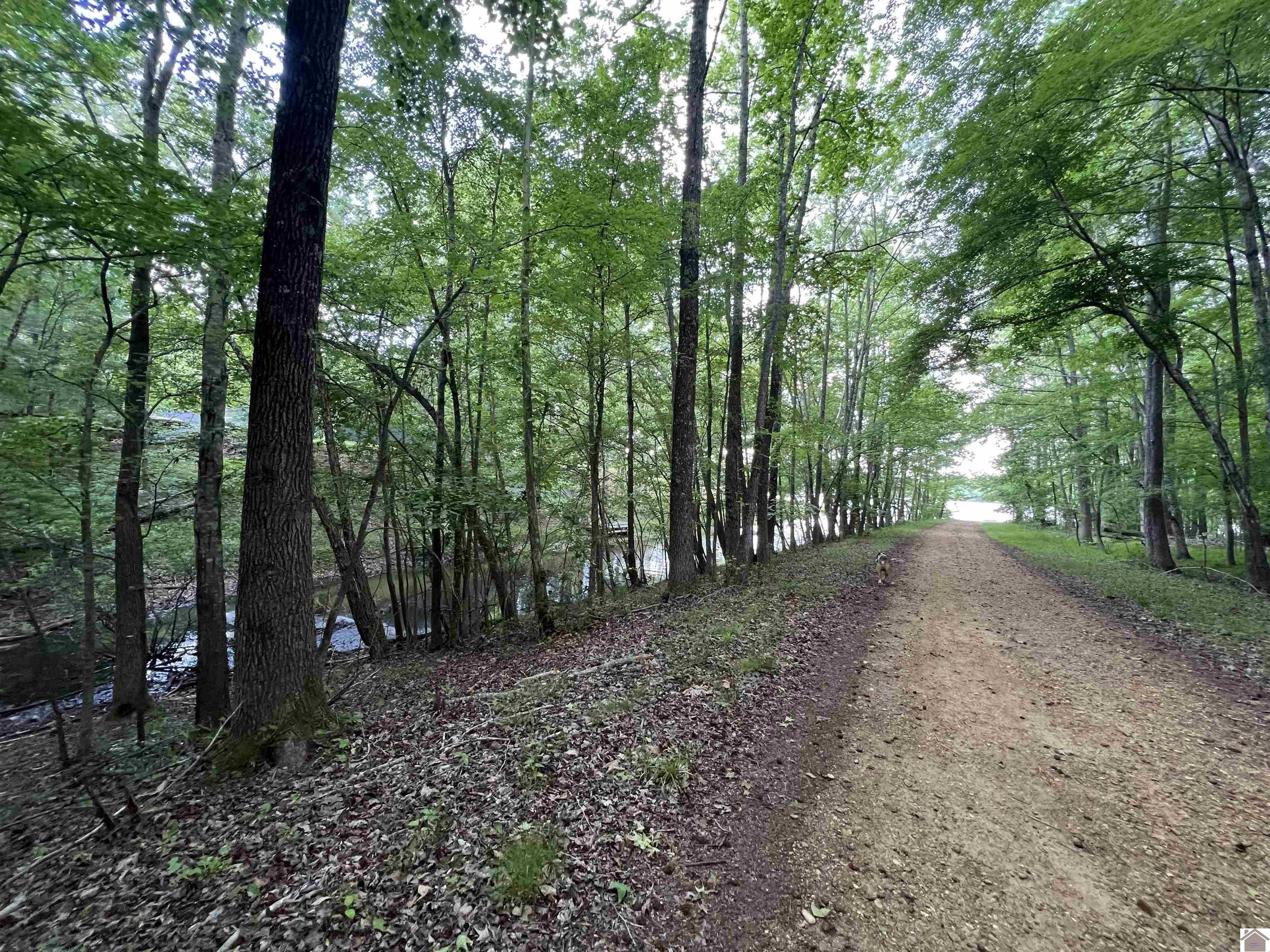 Lot 51 Block E Serenity Shores Rd. Property Photo 5
