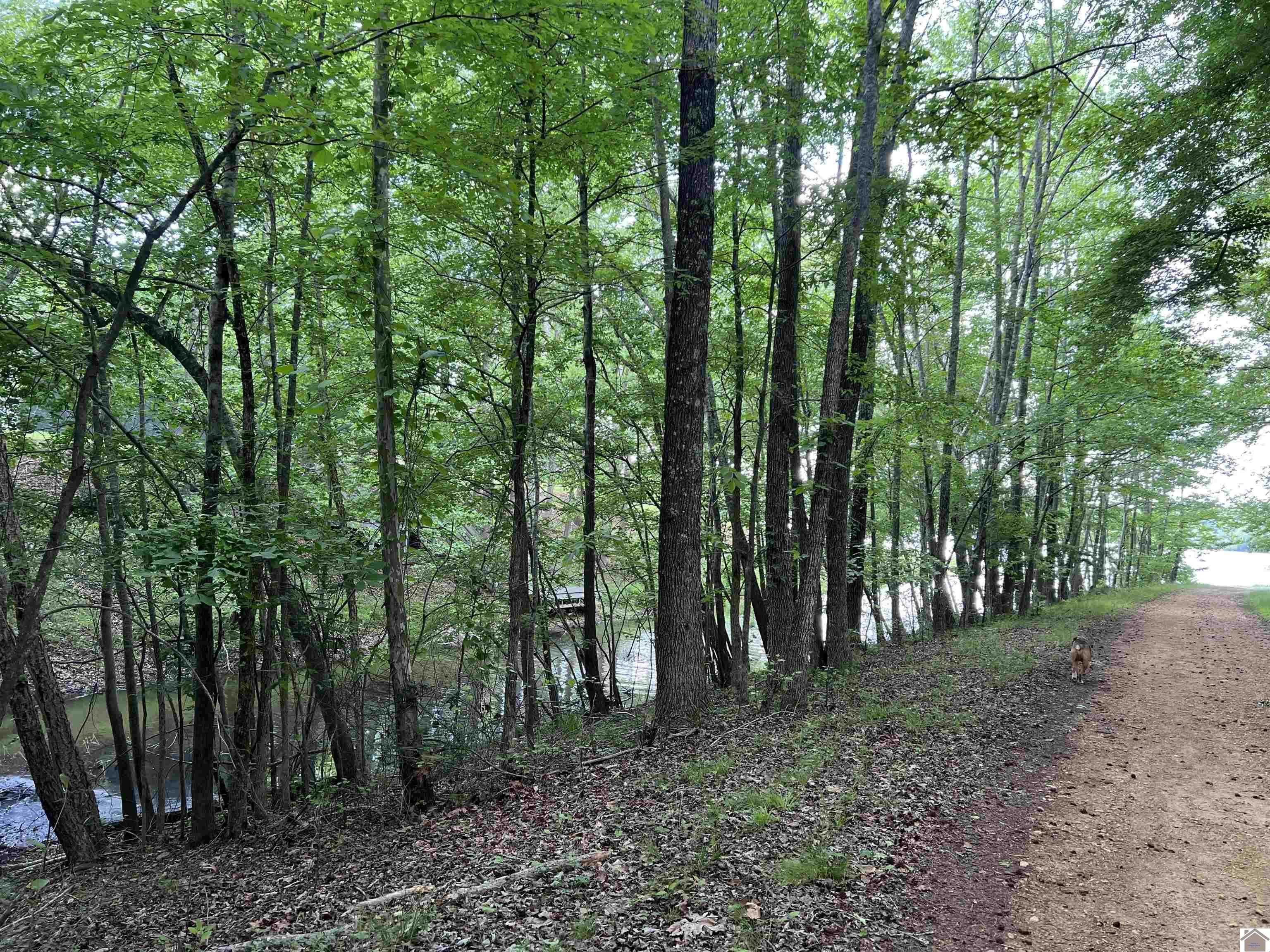 Lot 51 Block E Serenity Shores Rd. Property Photo 6