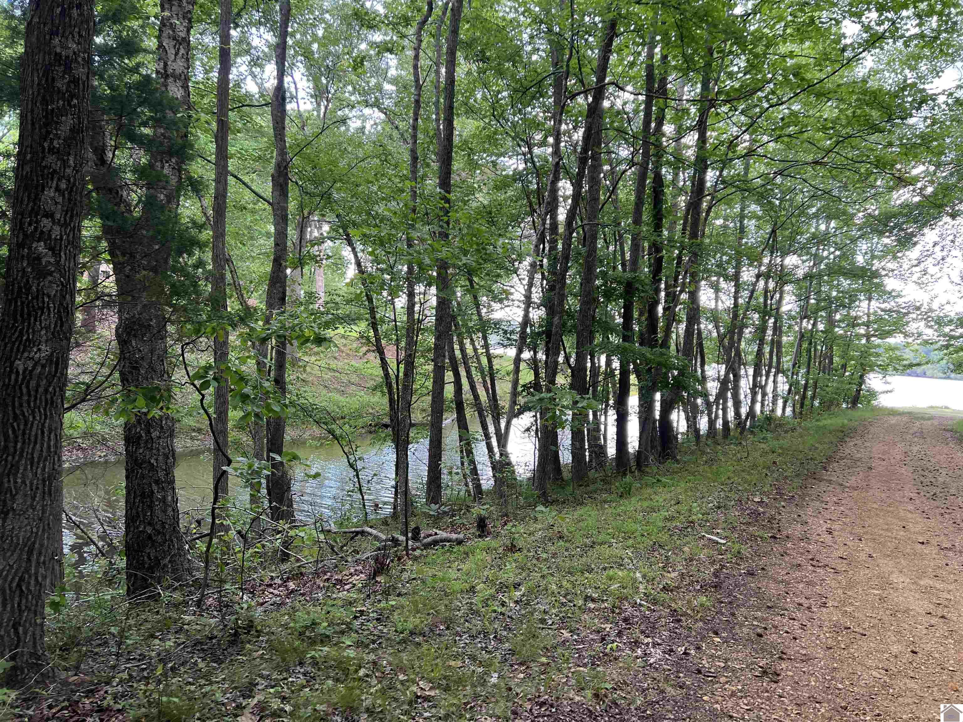 Lot 51 Block E Serenity Shores Rd. Property Photo 7