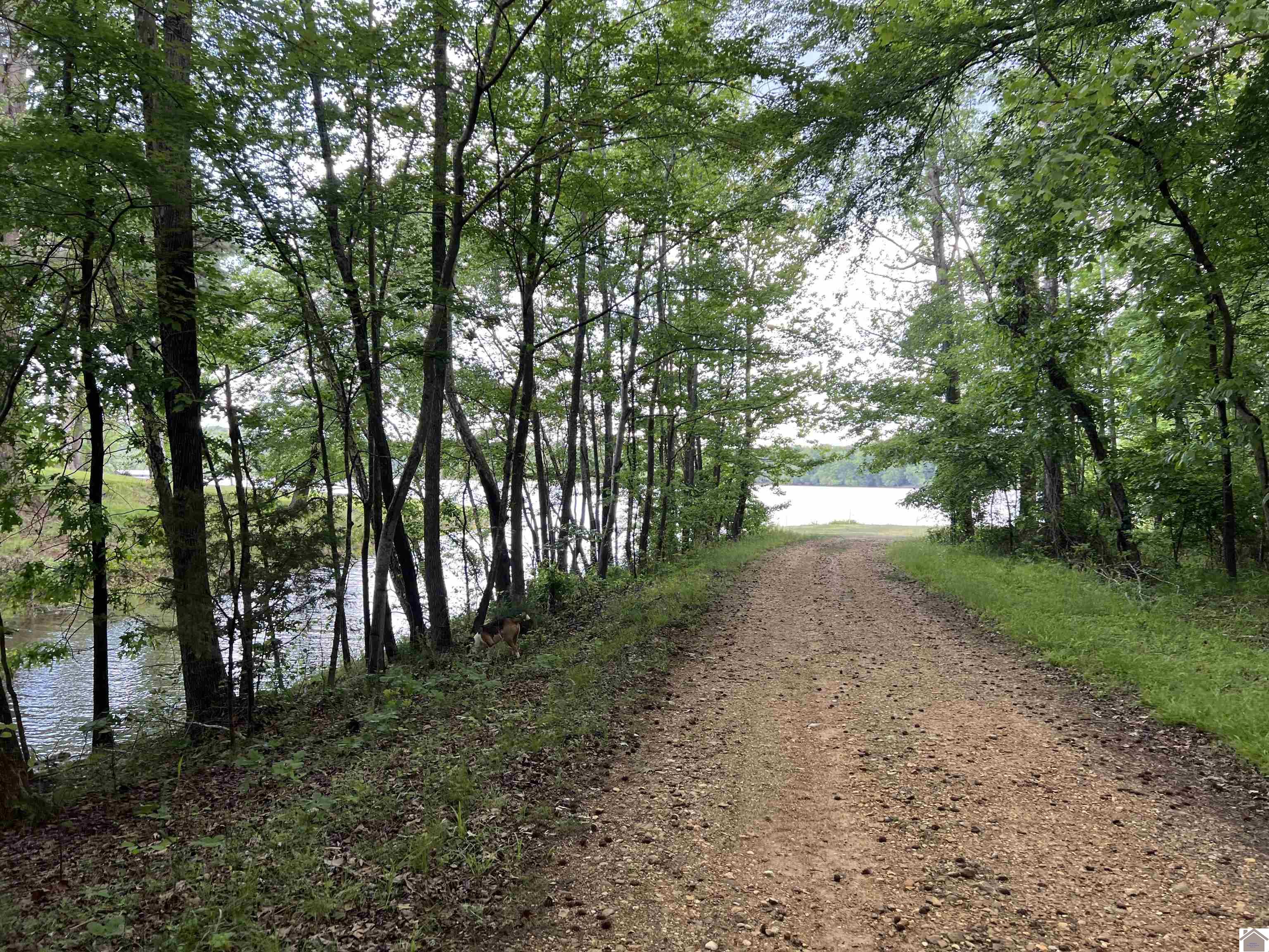 Lot 51 Block E Serenity Shores Rd. Property Photo 9