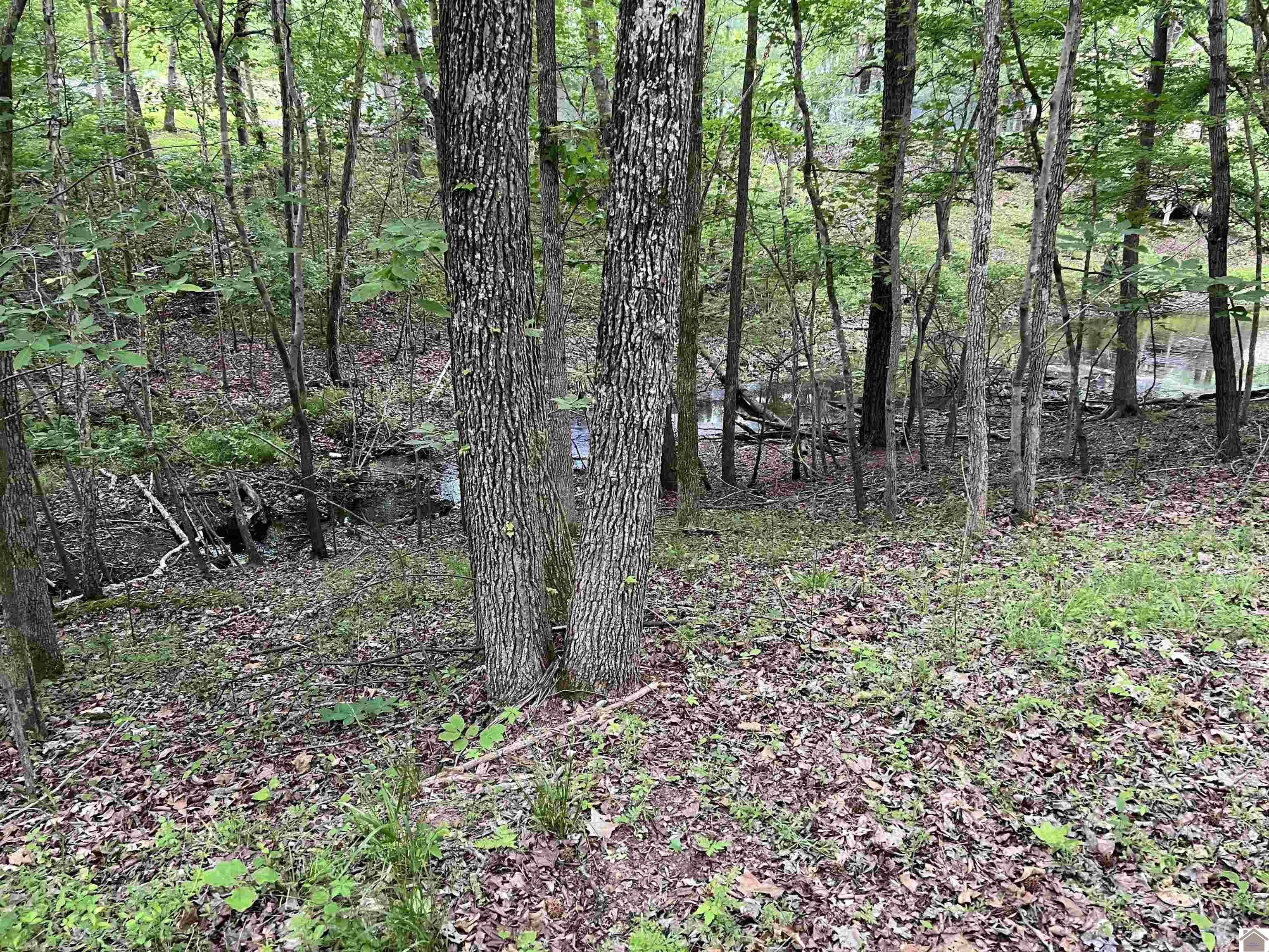 Lot 51 Block E Serenity Shores Rd. Property Photo 17