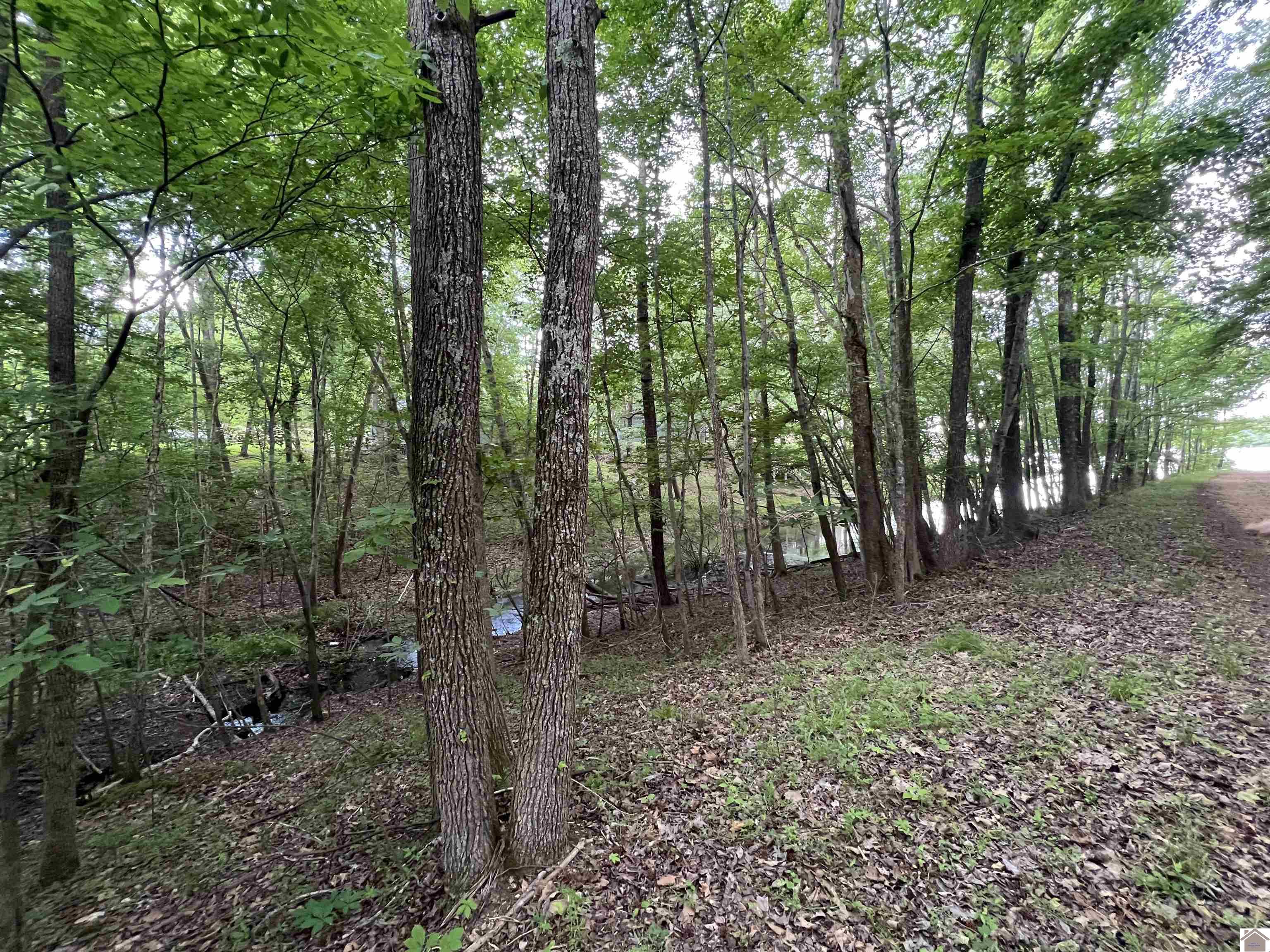 Lot 51 Block E Serenity Shores Rd. Property Photo 18