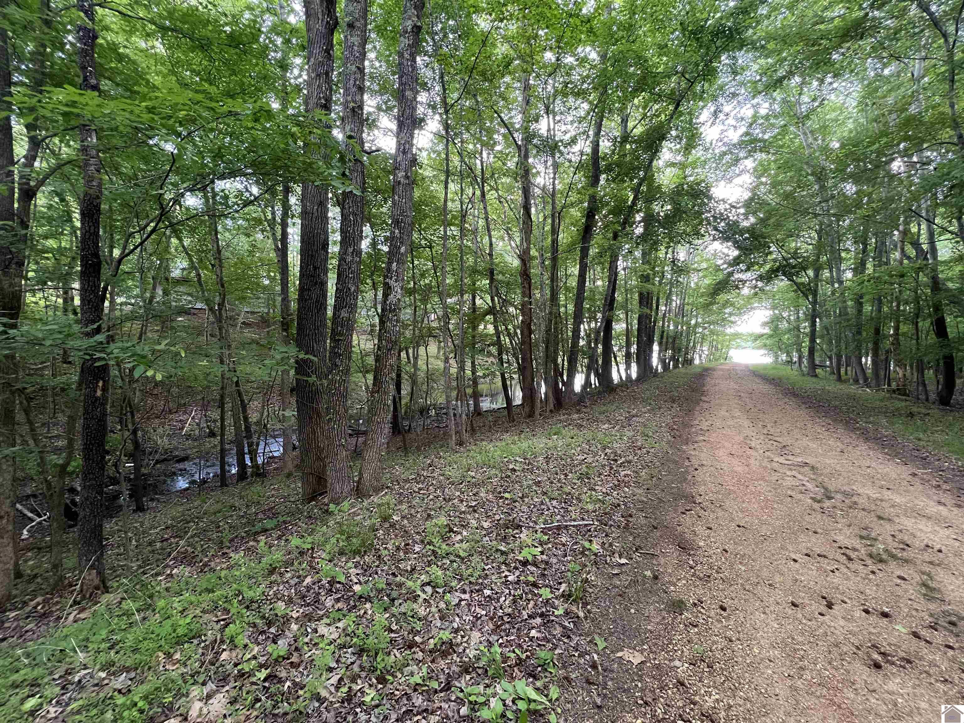 Lot 51 Block E Serenity Shores Rd. Property Photo 20