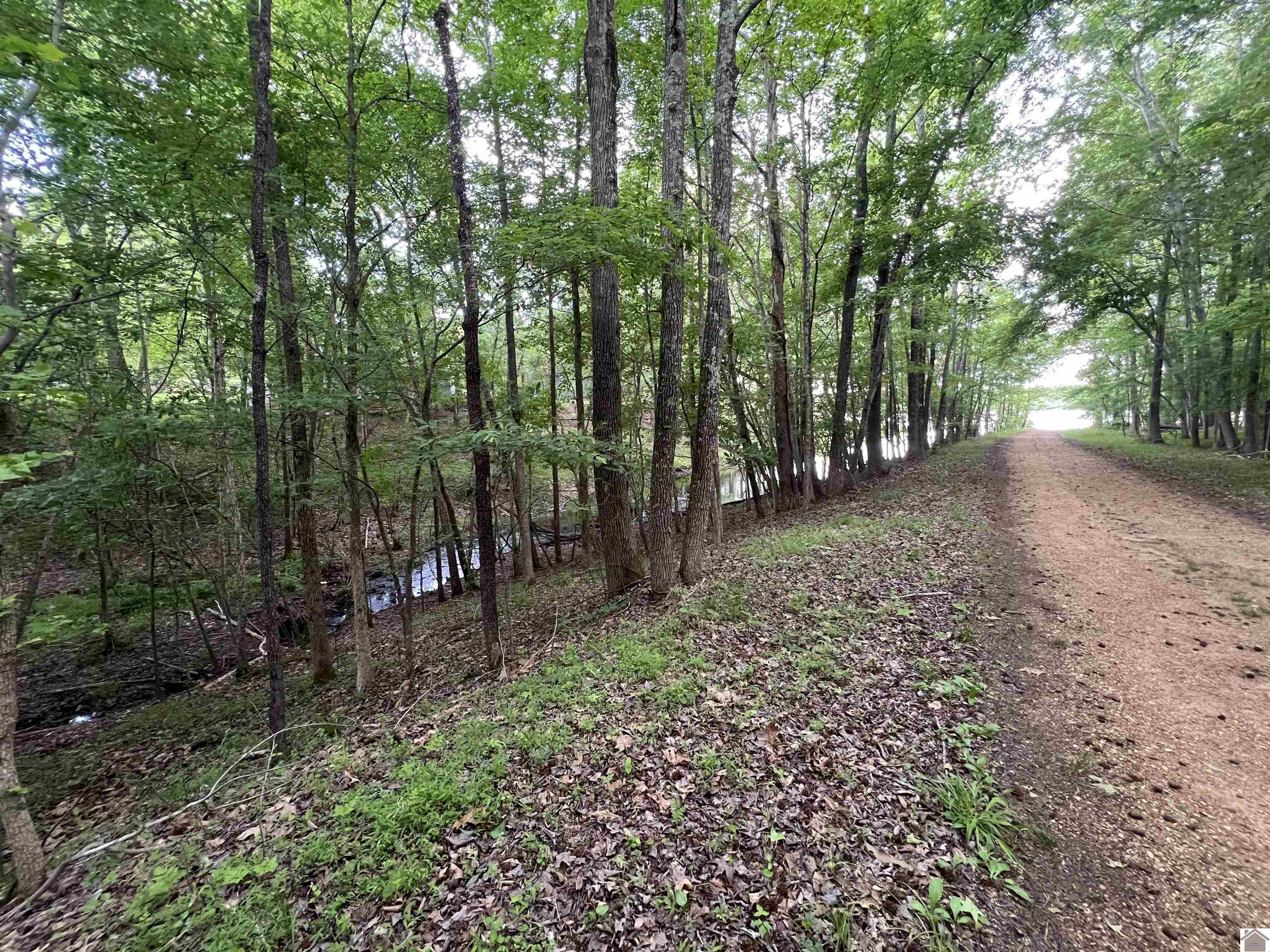 Lot 51 Block E Serenity Shores Rd. Property Photo 21