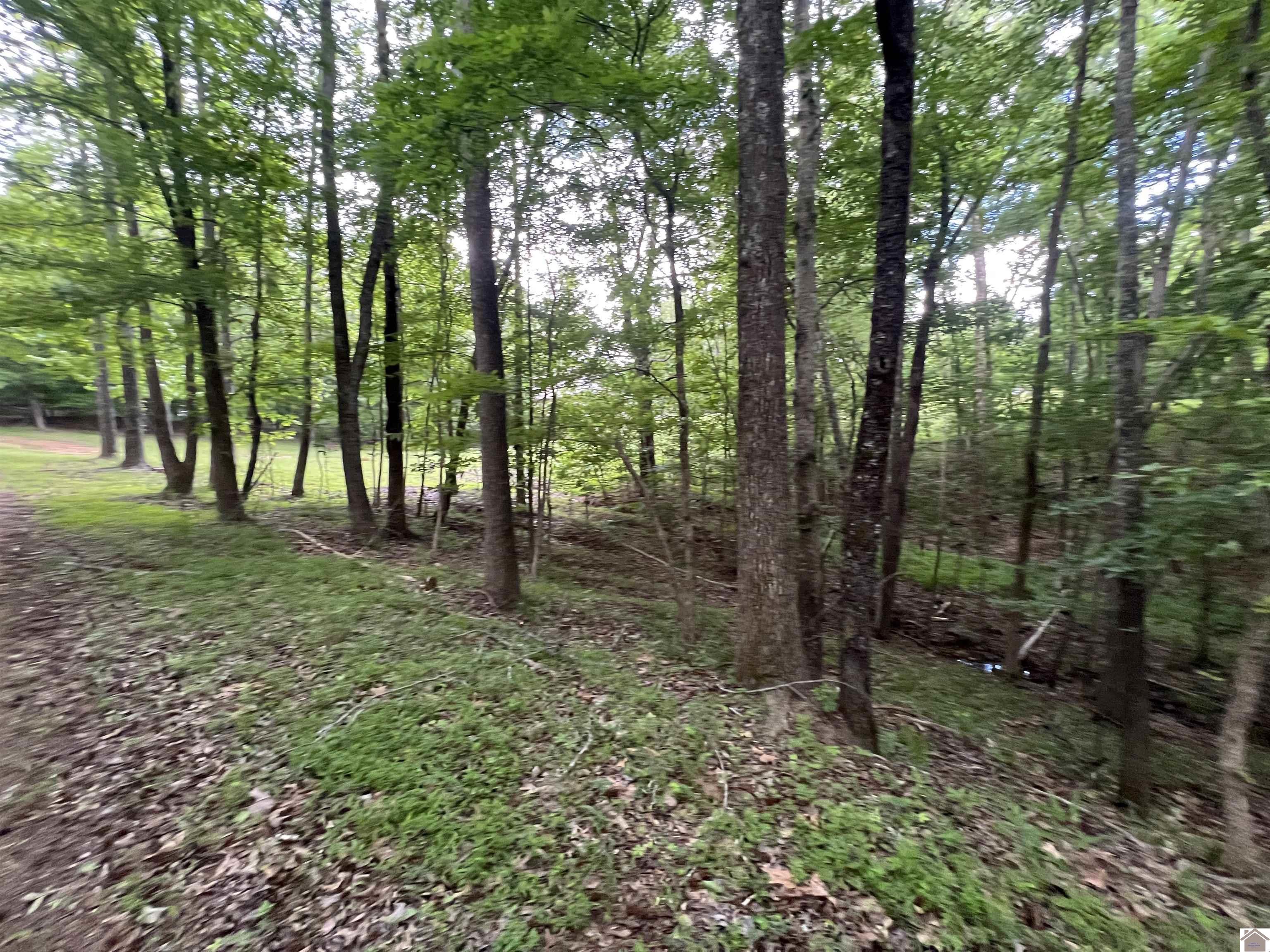 Lot 51 Block E Serenity Shores Rd. Property Photo 24