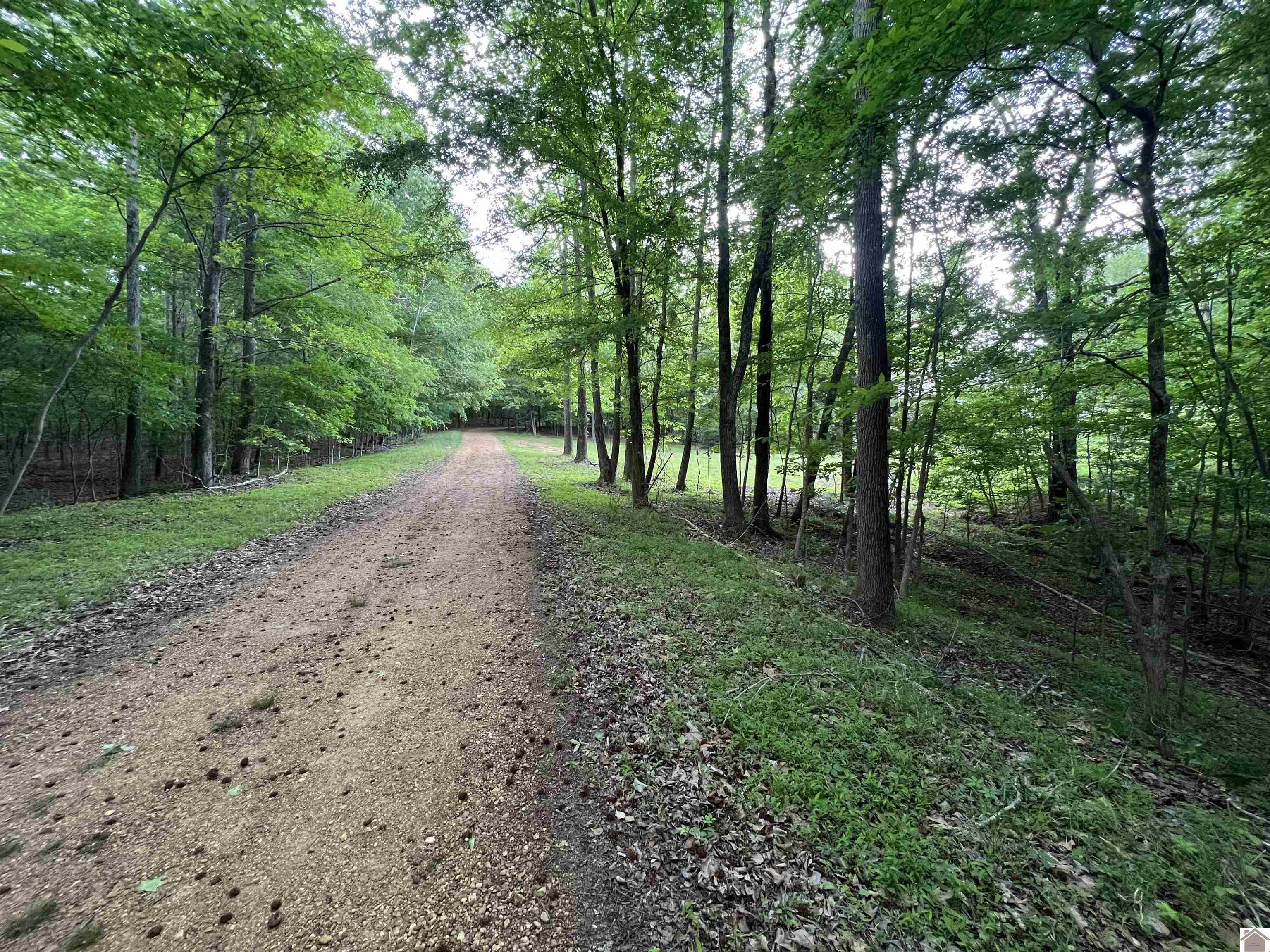 Lot 51 Block E Serenity Shores Rd. Property Photo 26