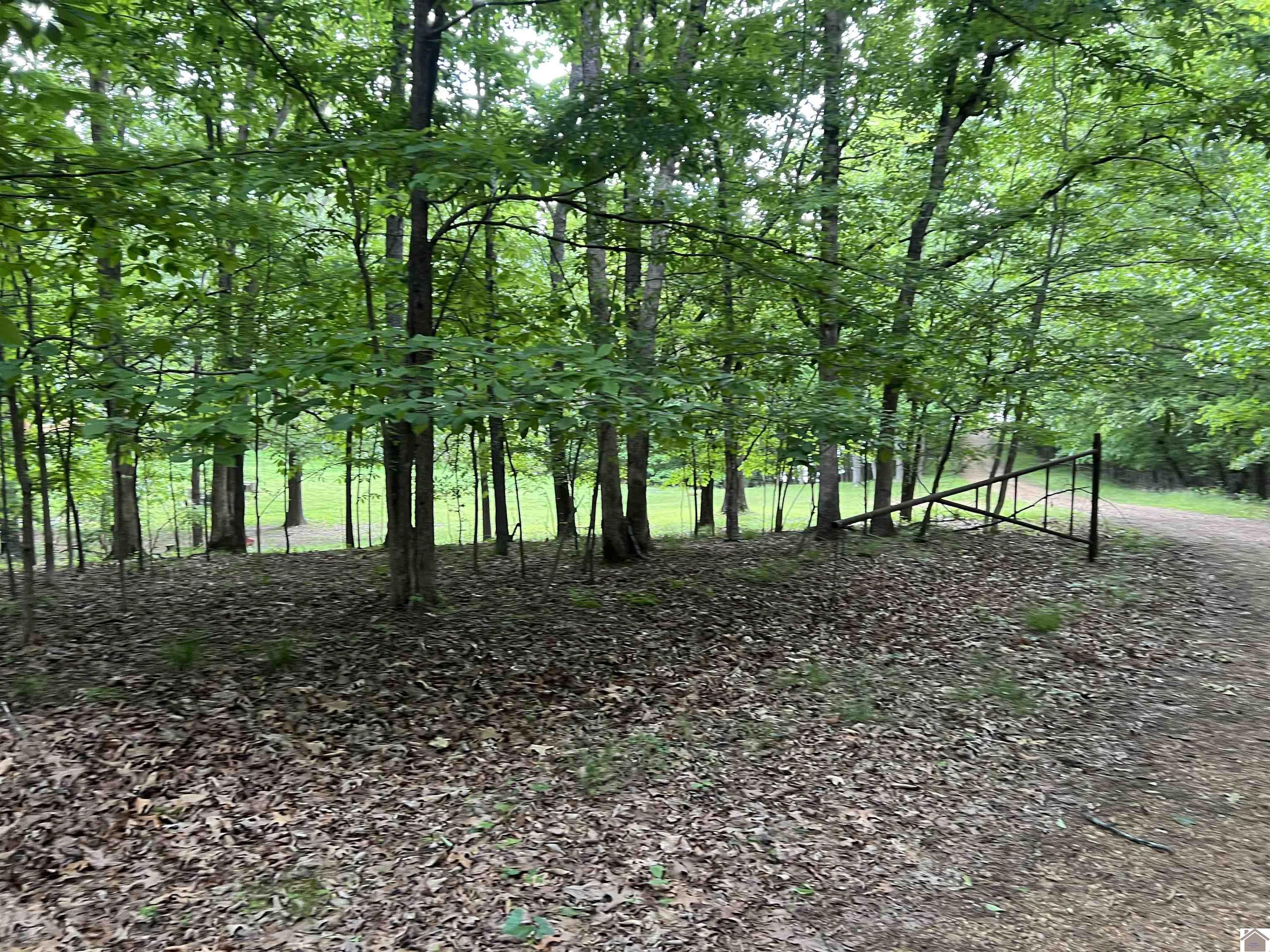 Lot 51 Block E Serenity Shores Rd. Property Photo 36