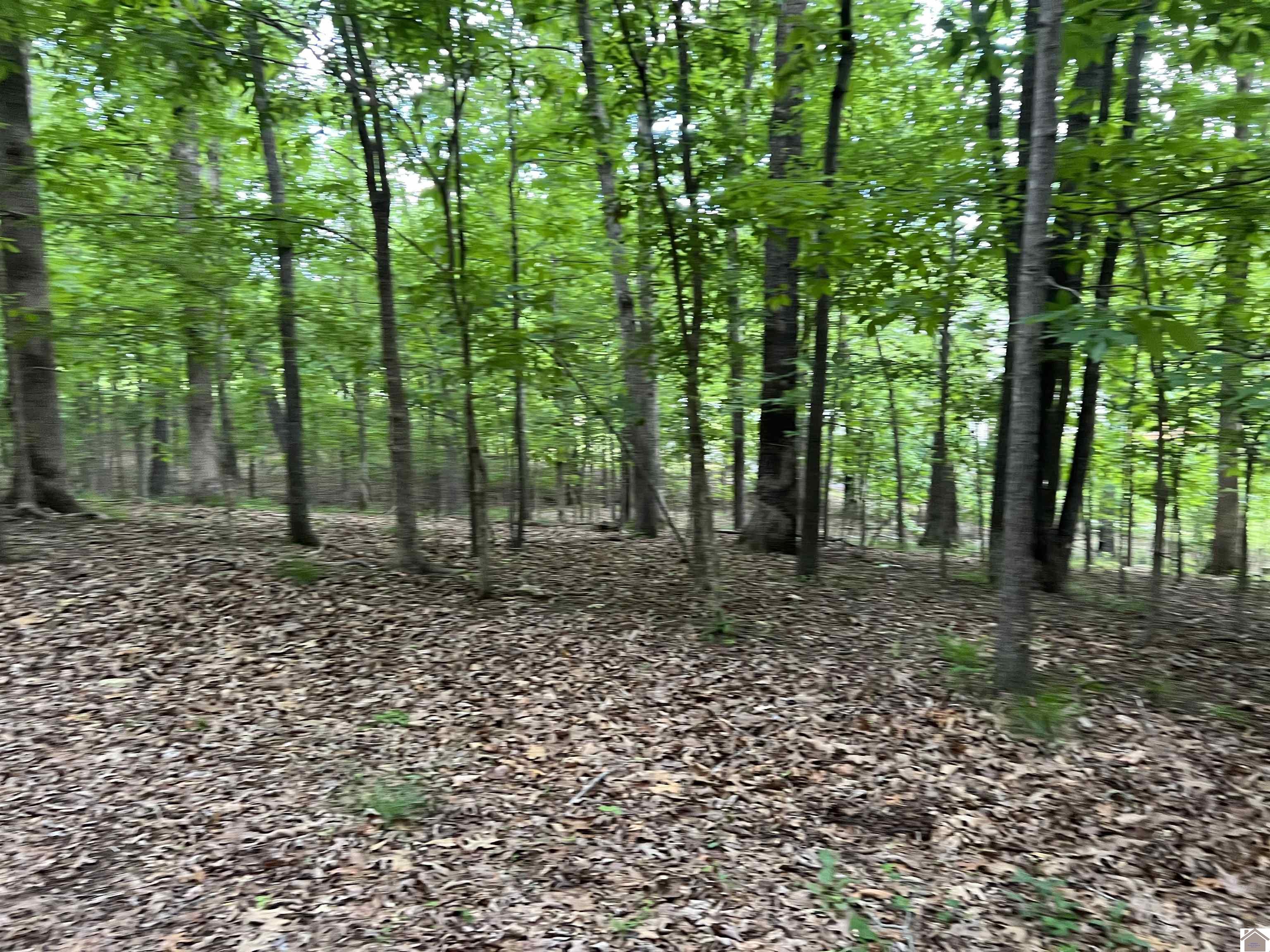 Lot 51 Block E Serenity Shores Rd. Property Photo 38