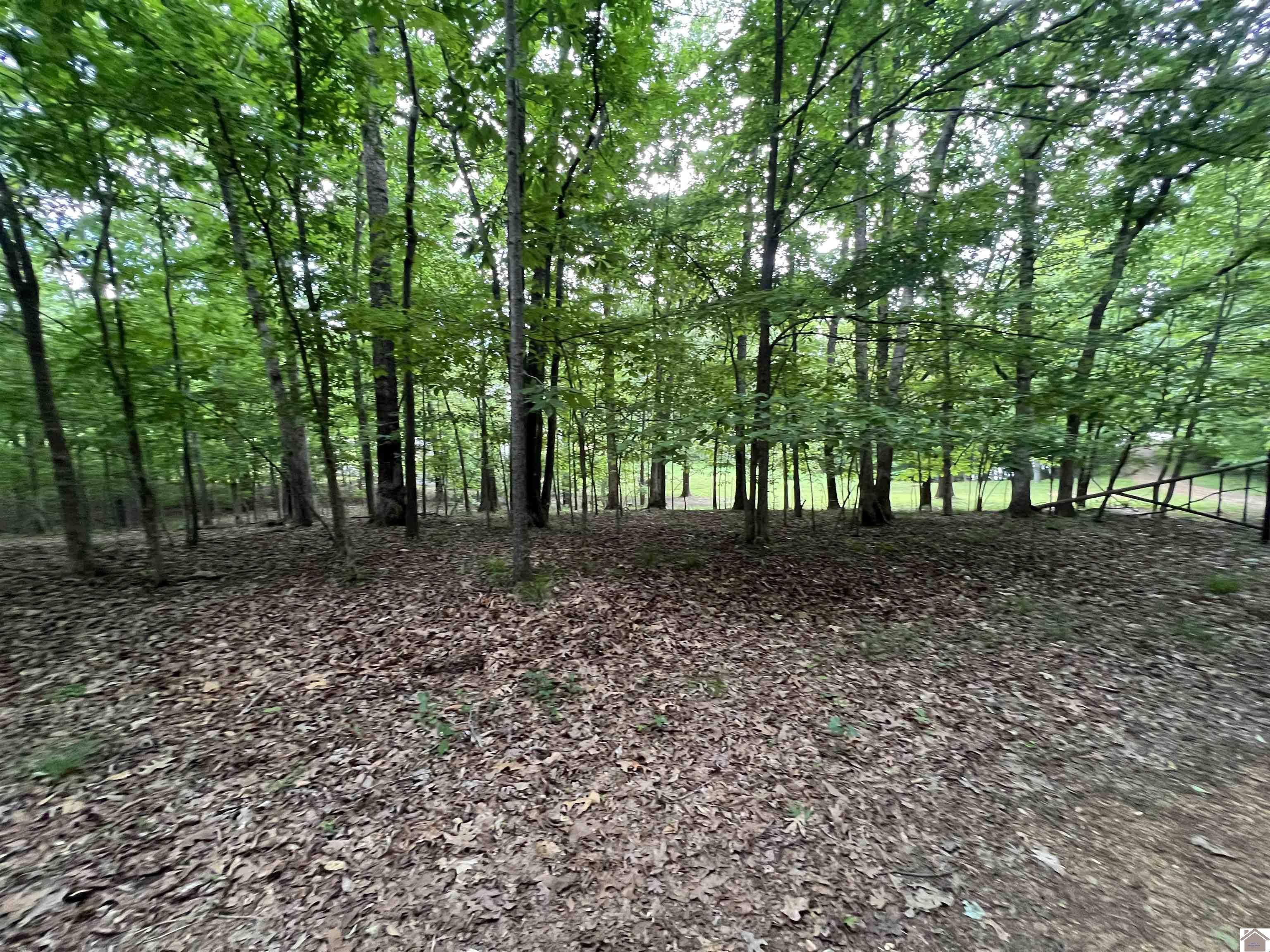 Lot 51 Block E Serenity Shores Rd. Property Photo 40
