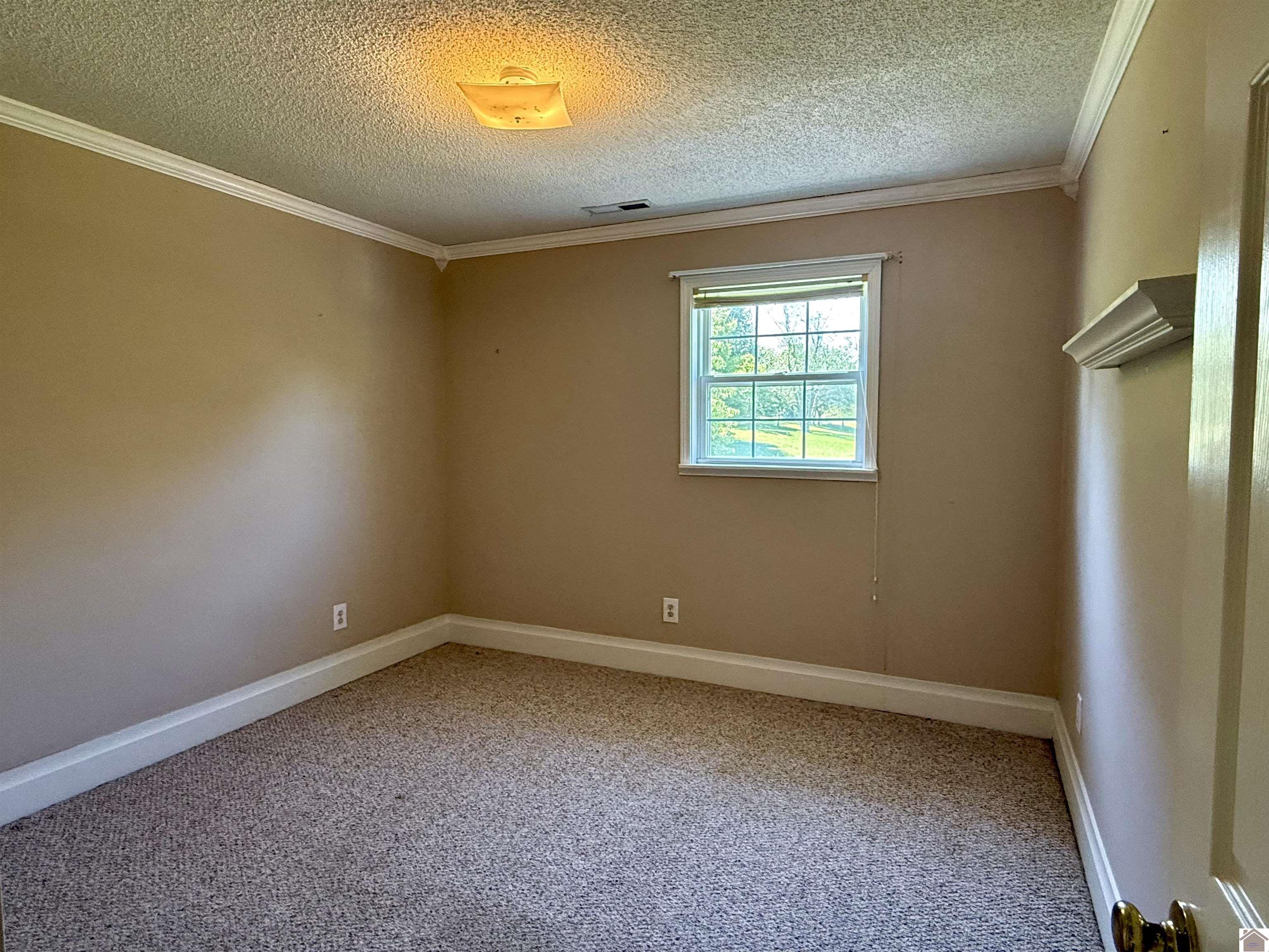248 Impala Road Property Photo 21