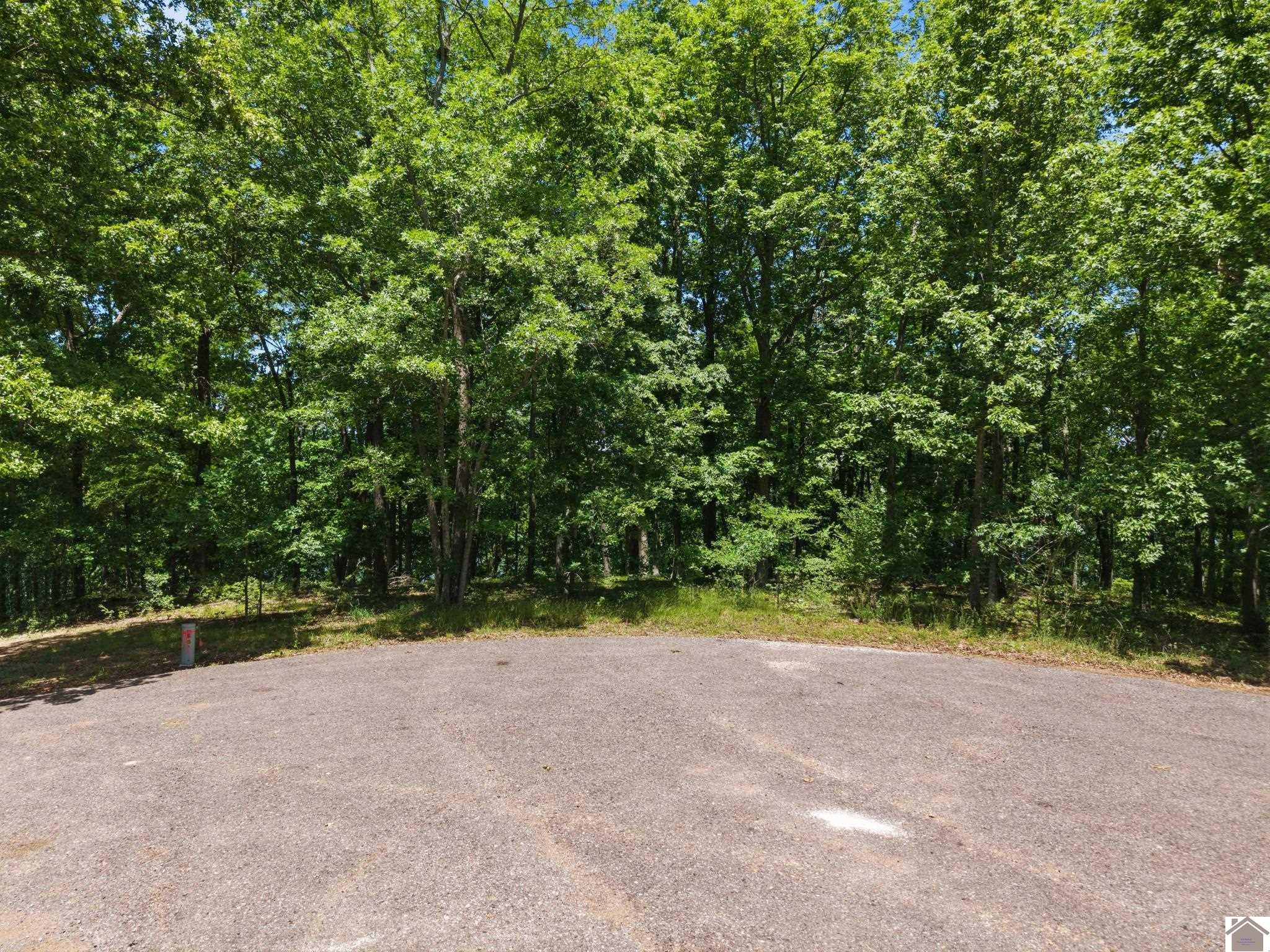 Lot 24 Pier Lane Property Photo 19
