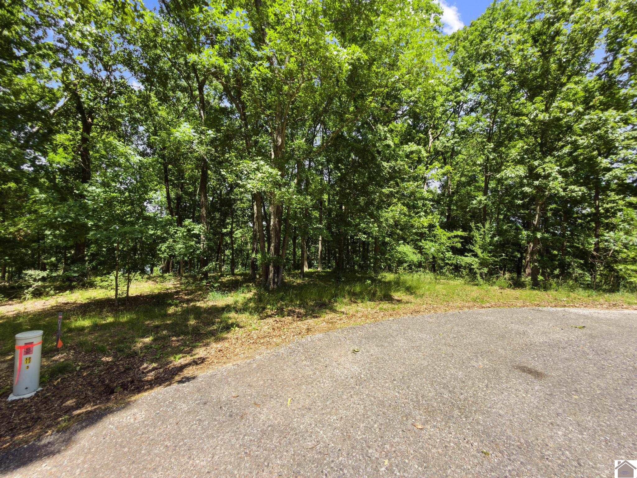 Lot 24 Pier Lane Property Photo 21