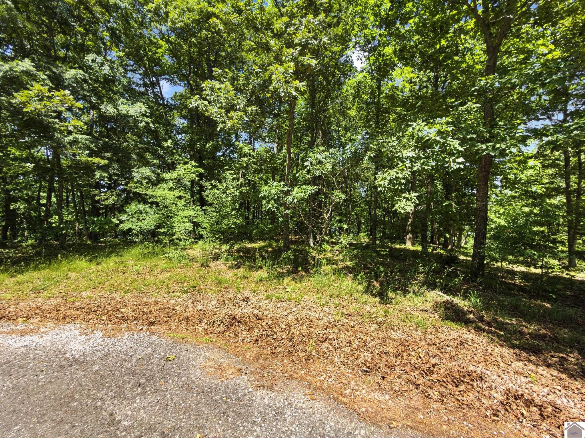Lot 24 Pier Lane Property Photo 25
