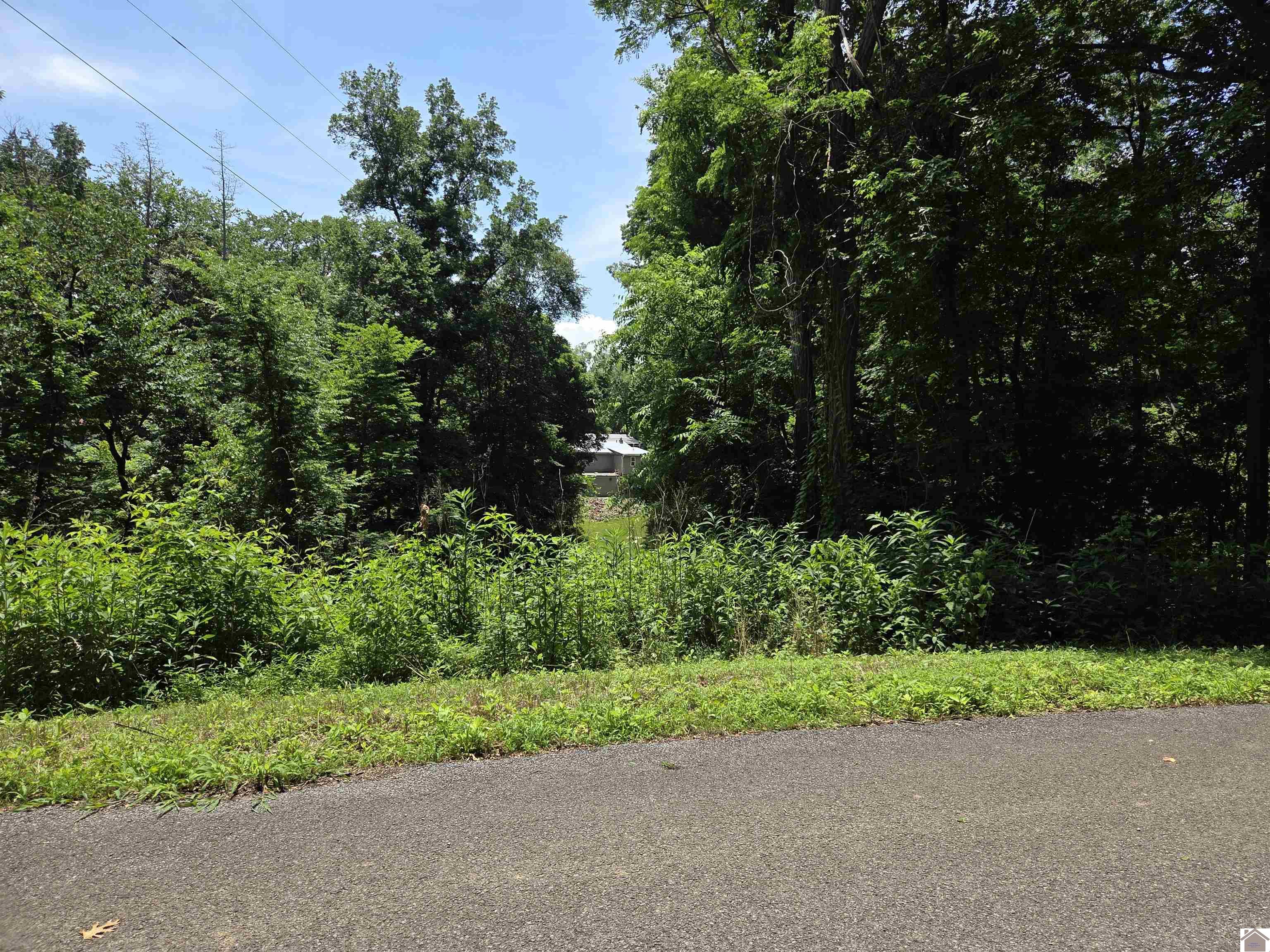 Lot 68/69 Baker Lane Property Photo 3