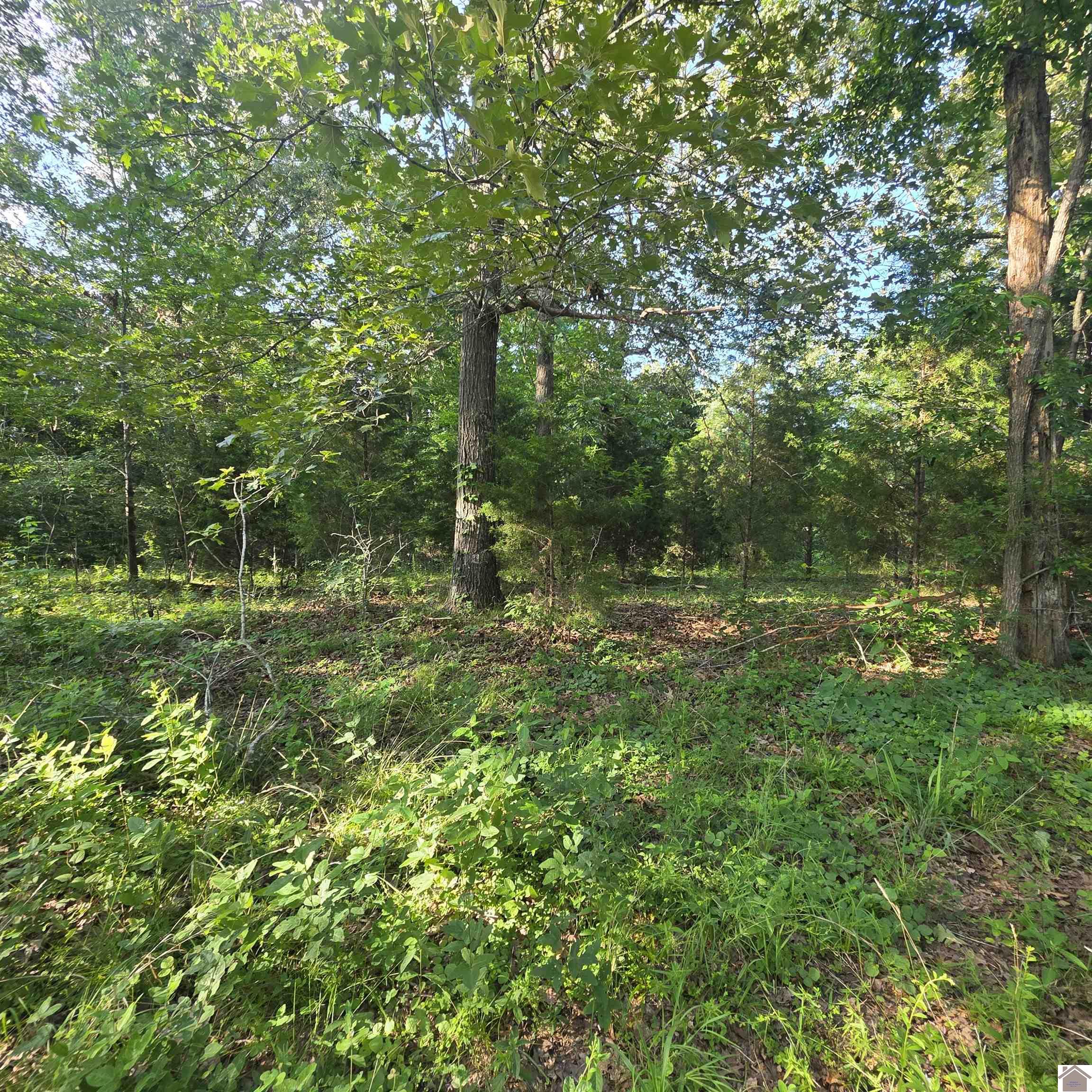 000 Valhalla Property Photo 1