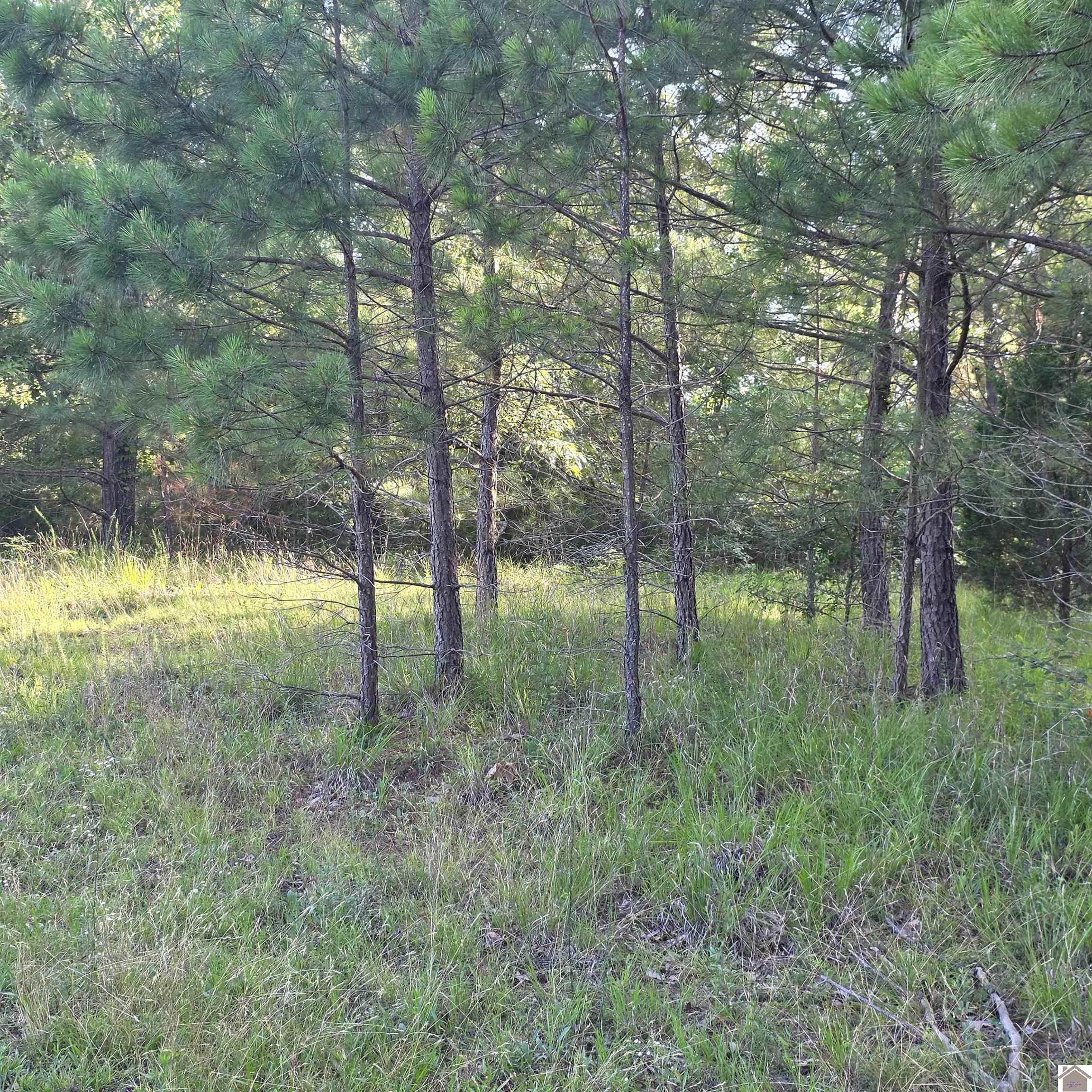 000 Valhalla Property Photo 3