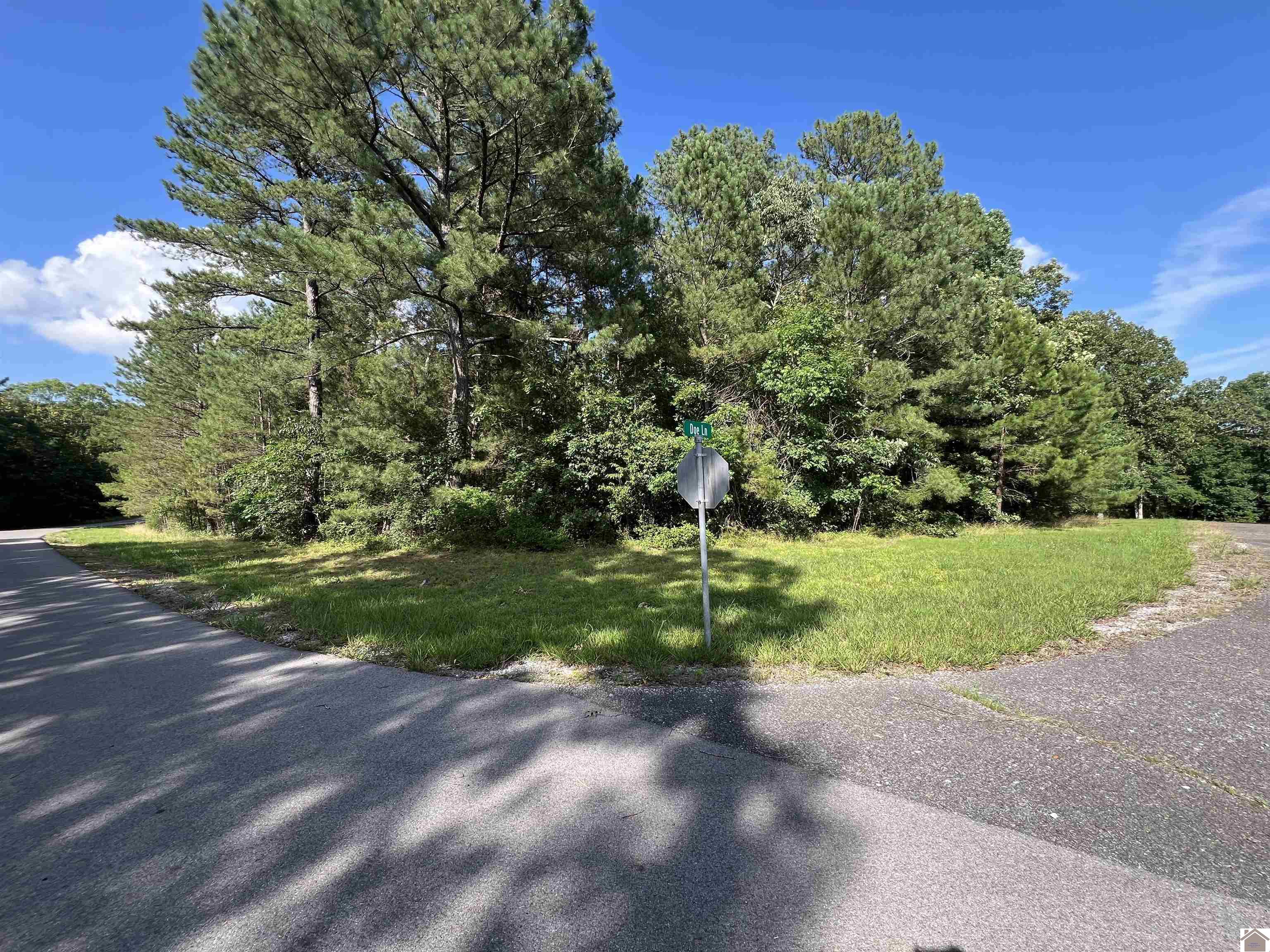 Unit 2 Lot 96 Briarfield Road Property Photo 2
