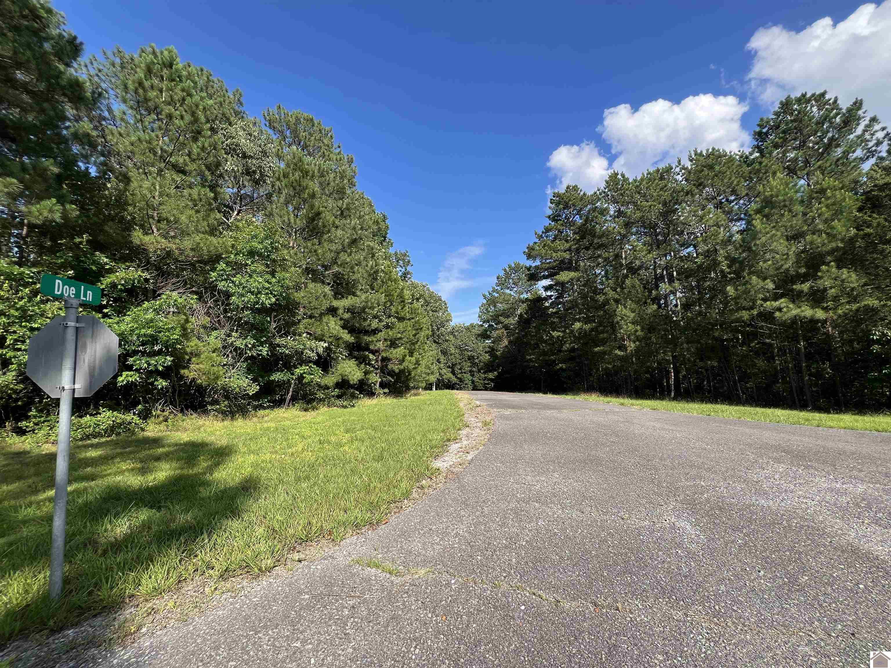 Unit 2 Lot 96 Briarfield Road Property Photo 4