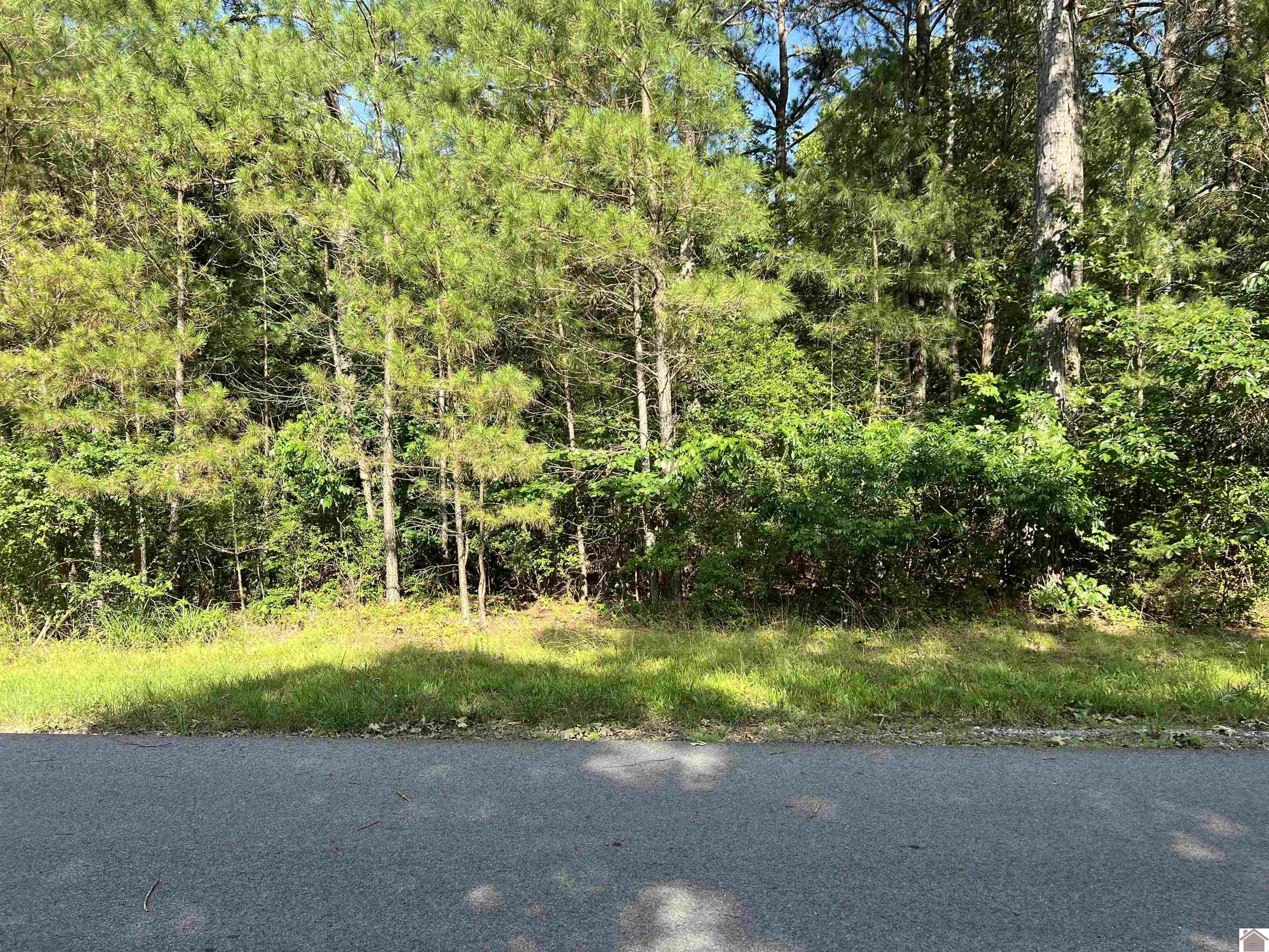 Unit 2 Lot 96 Briarfield Road Property Photo 6