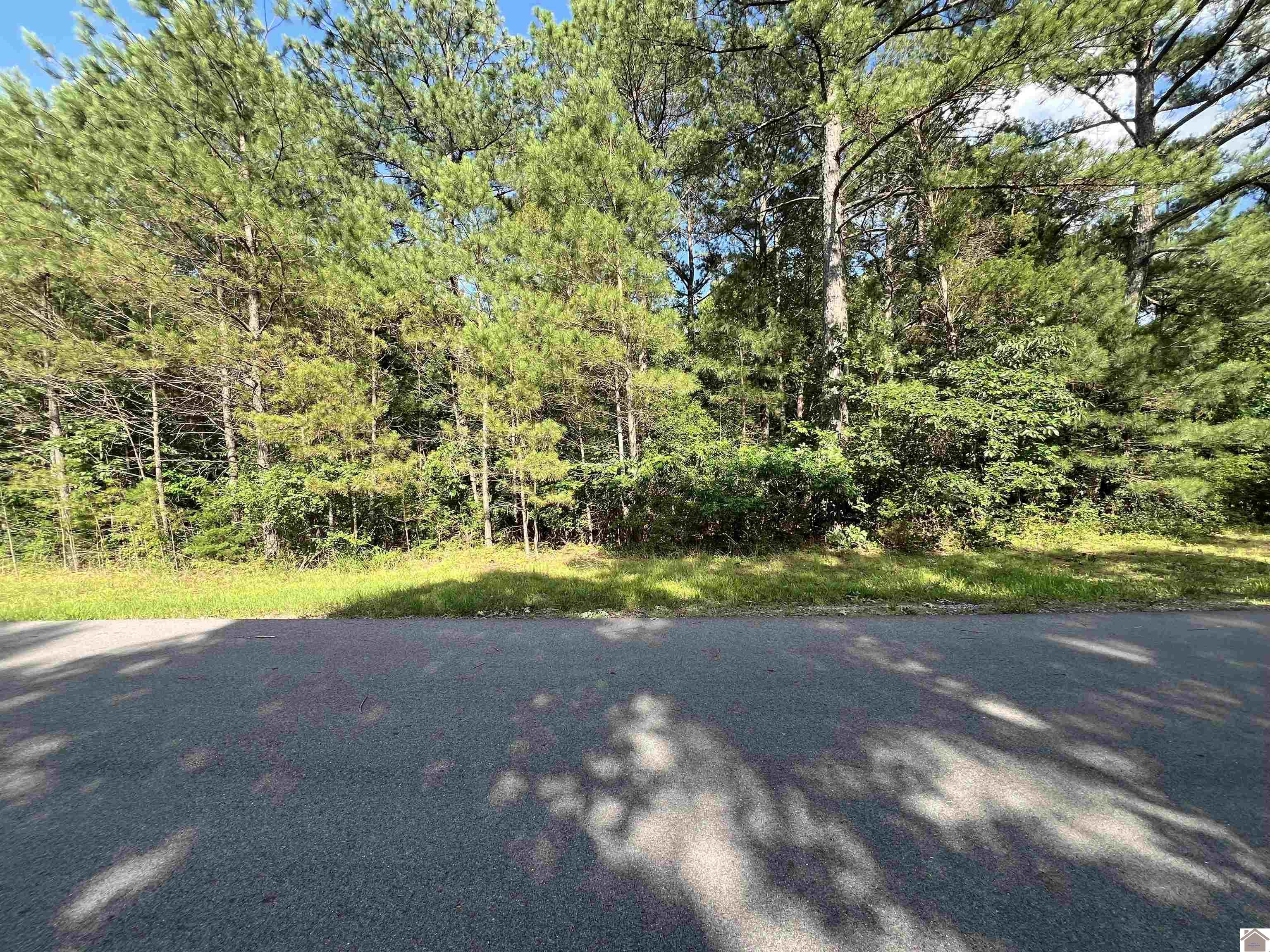 Unit 2 Lot 96 Briarfield Road Property Photo 7