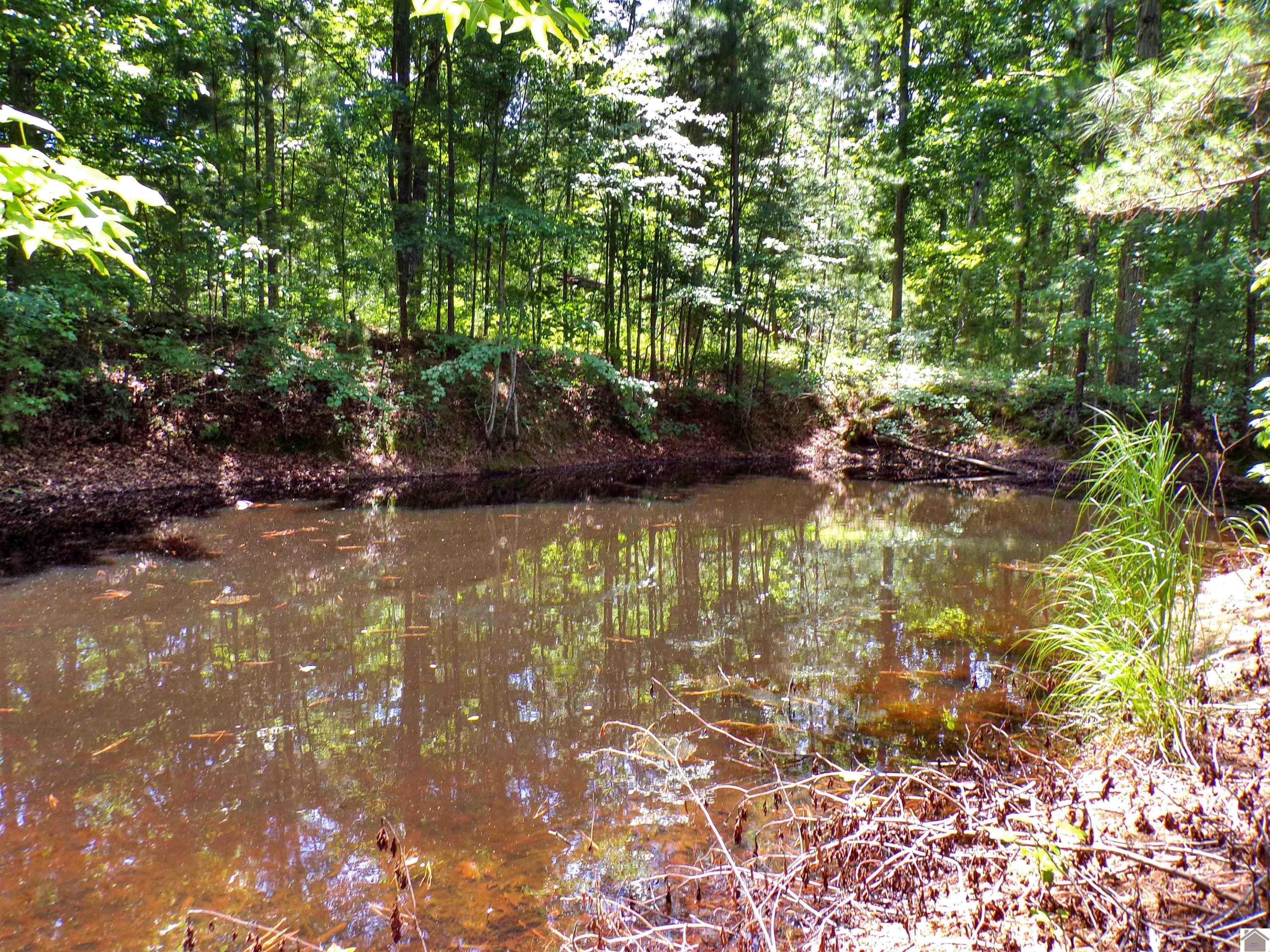 209 Jonathan Shores Road Property Photo 36
