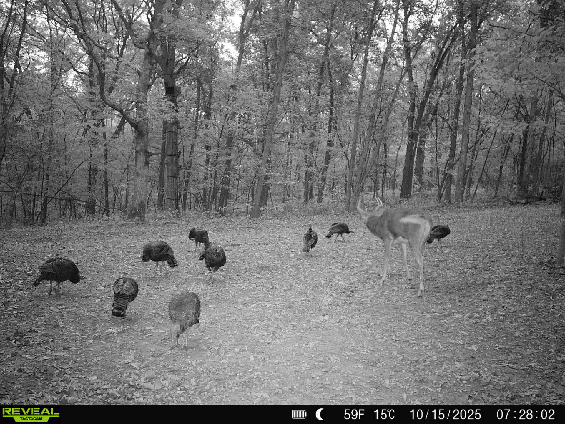 170th Avenue Property Photo 10
