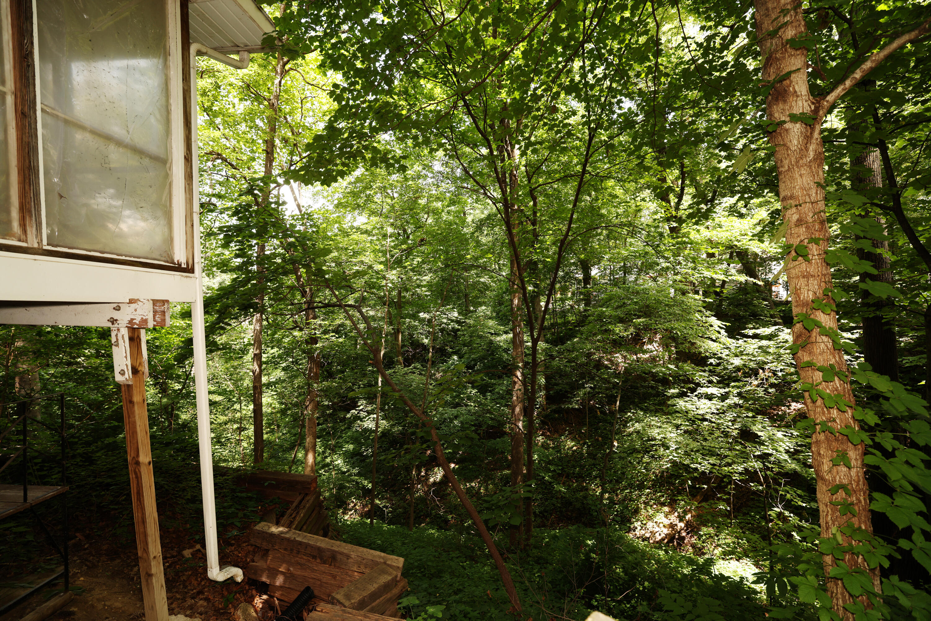 1158 Jonquil Lane Property Photo 23