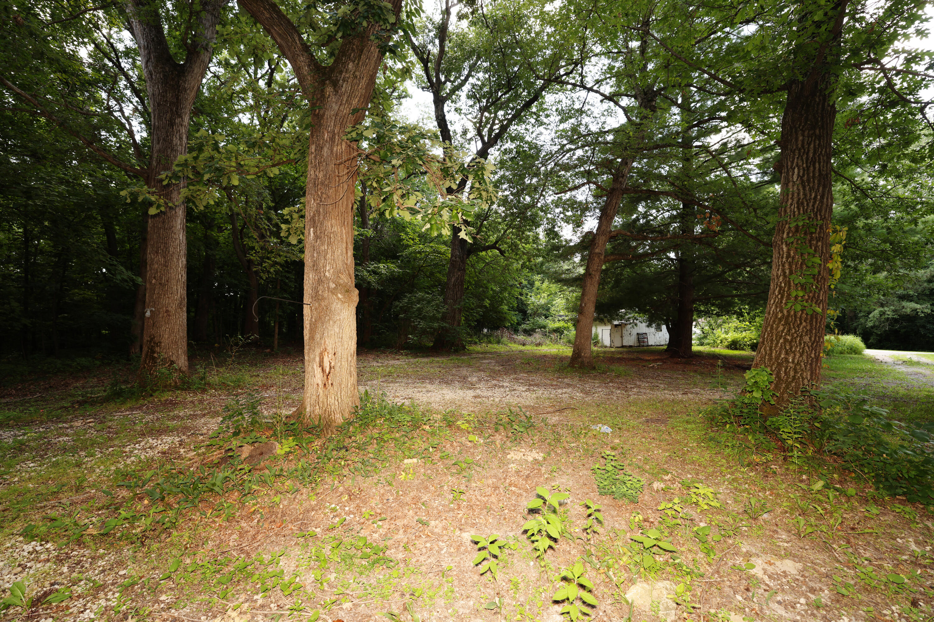 1158 Jonquil Lane Property Photo 26