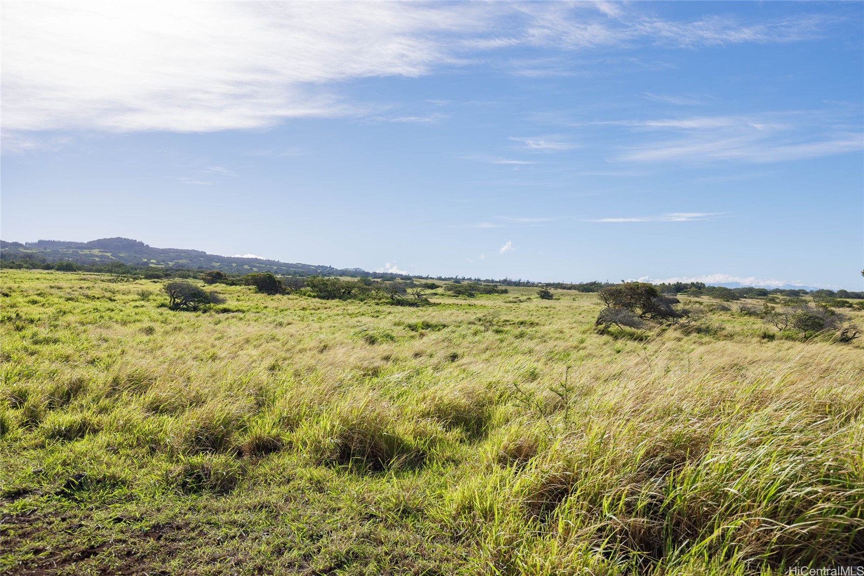 Lot #9 Lahuiki Place Property Photo 8