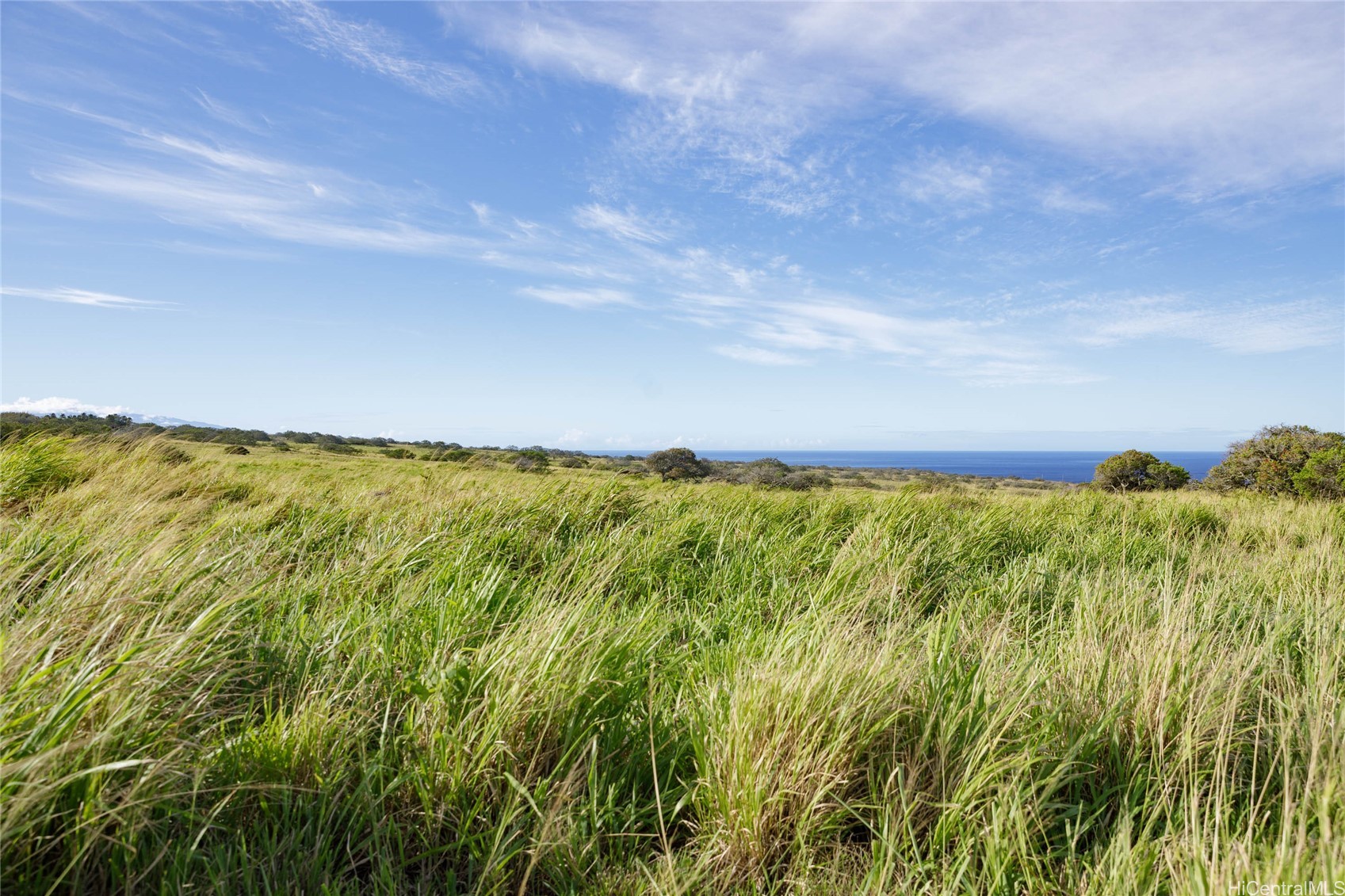 Lot #9 Lahuiki Place Property Photo 9