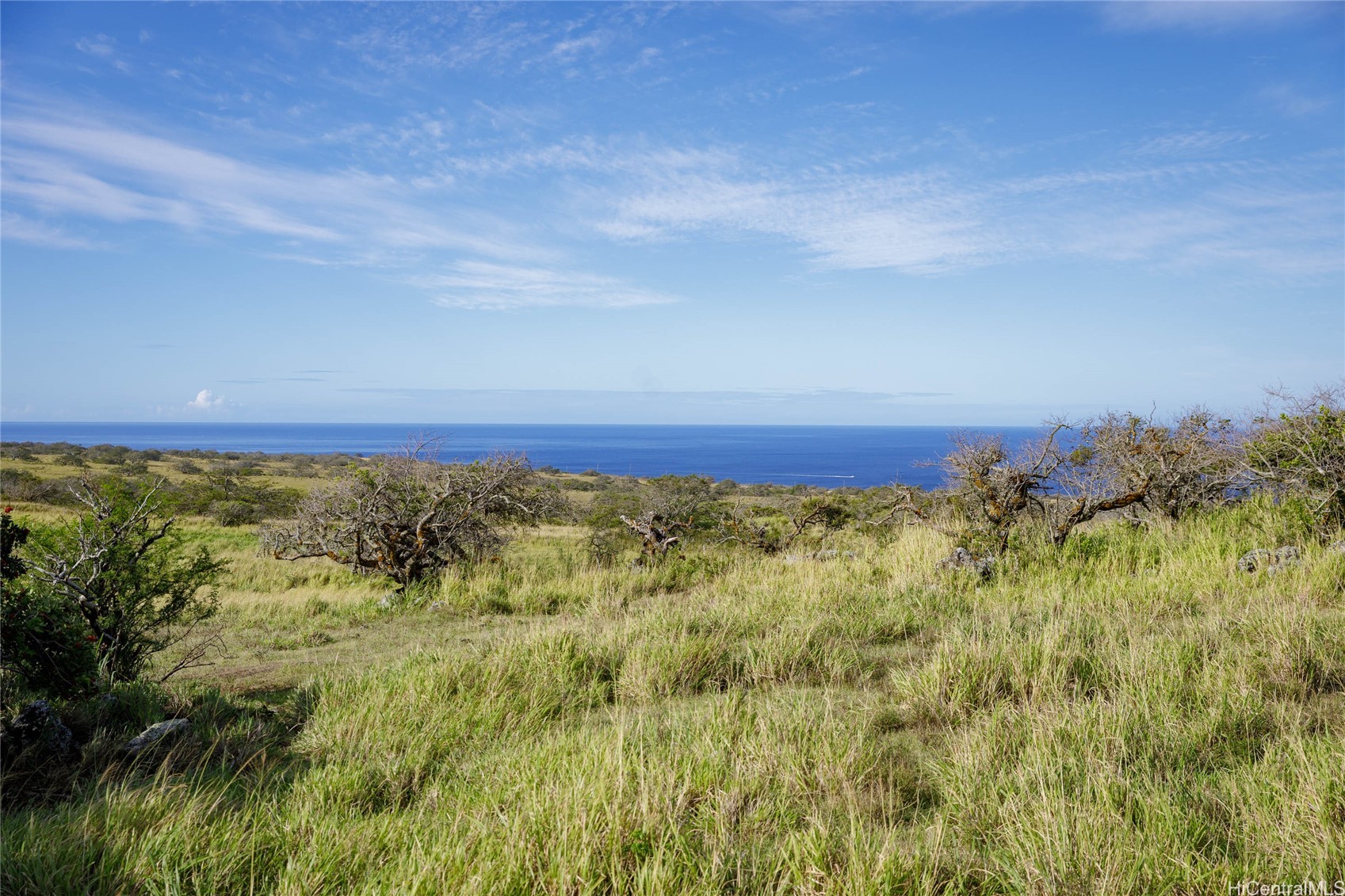 Lot #9 Lahuiki Place Property Photo 12