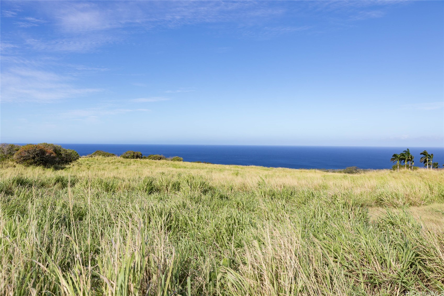 Lot #9 Lahuiki Place Property Photo 16