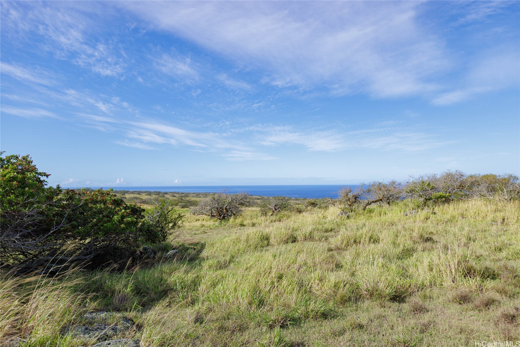Lot #9 Lahuiki Place Property Photo 17