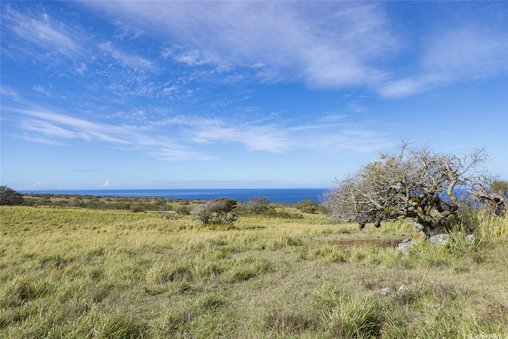 Lot #9 Lahuiki Place Property Photo 20