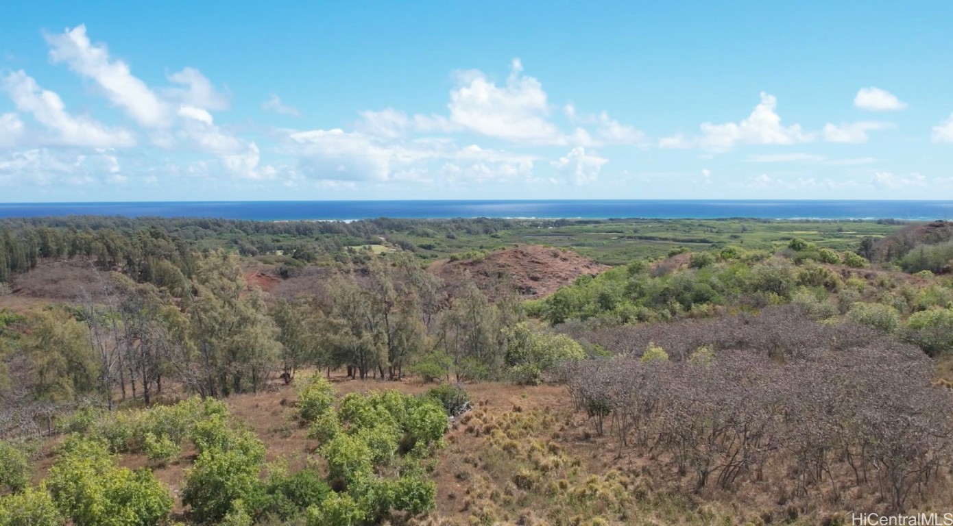 56-1060 Kamehameha Highway Property Photo 4