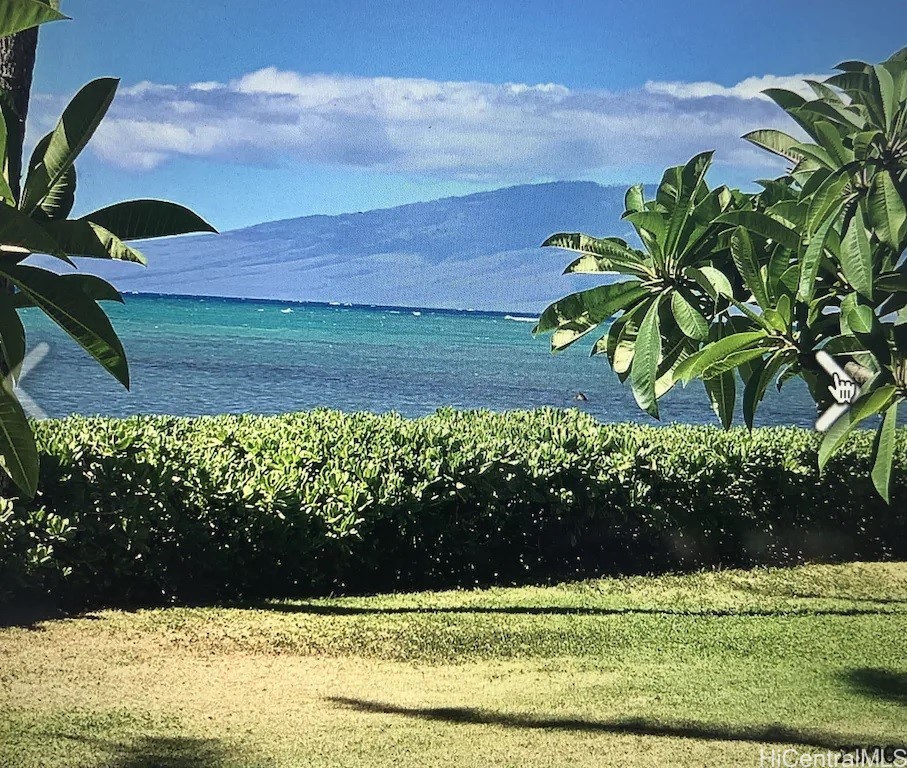7142 Kamehameha V Highway A112 Property Photo