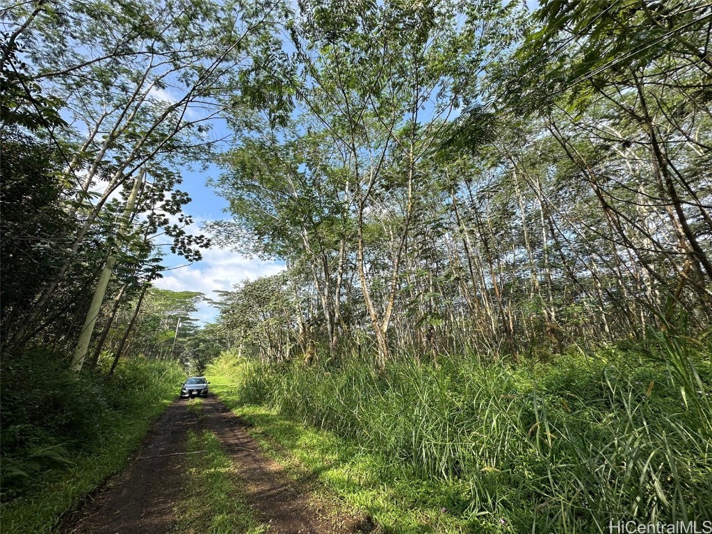 00 Pikake Road Property Photo