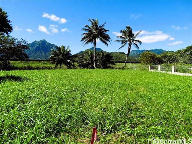 221 B Kihapai Street Property Photo