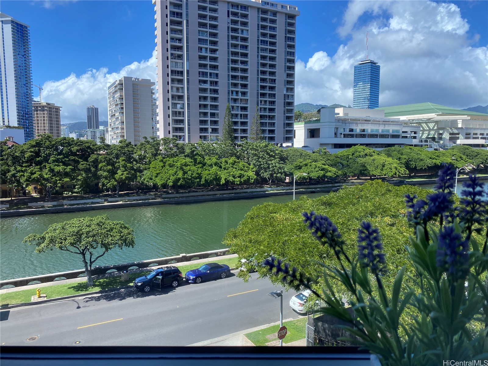 1551 Ala Wai Boulevard 401 Property Photo 3