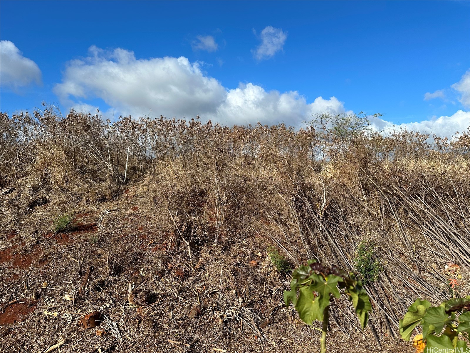 94-944 Kunia Road Property Photo 4
