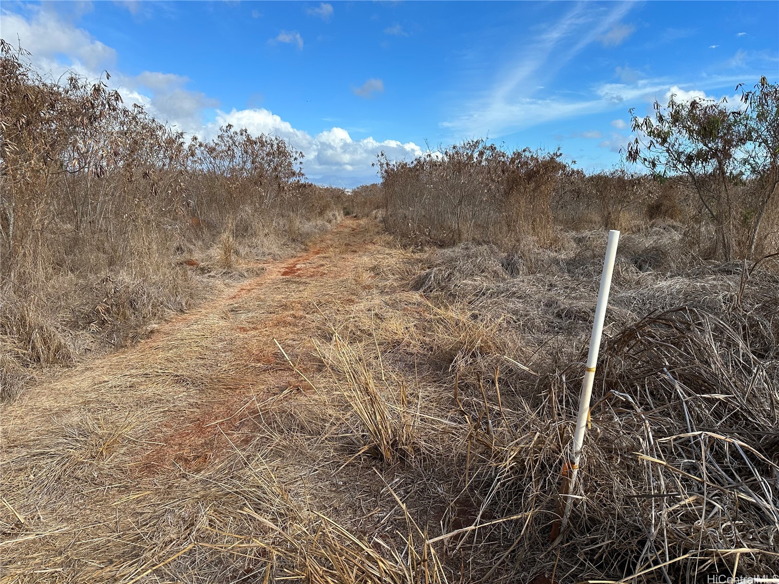 94-944 Kunia Road Property Photo 5