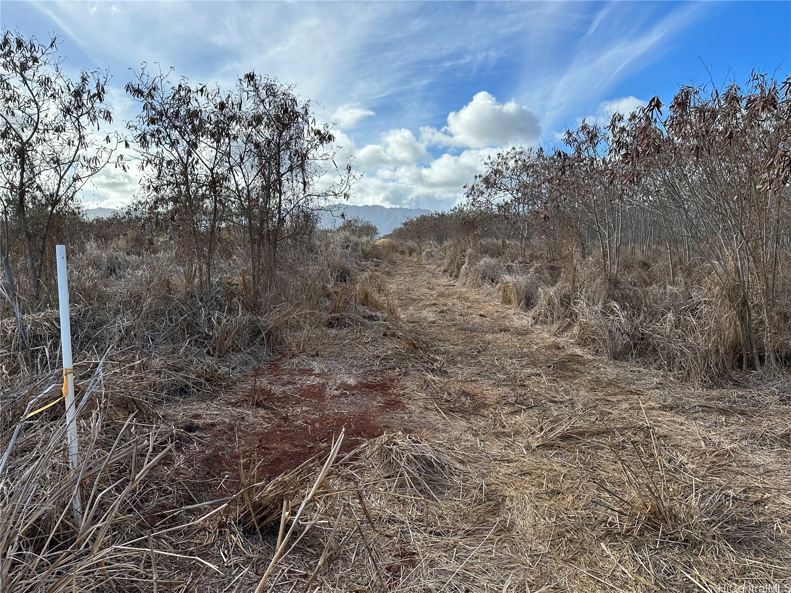 94-944 Kunia Road Property Photo 6