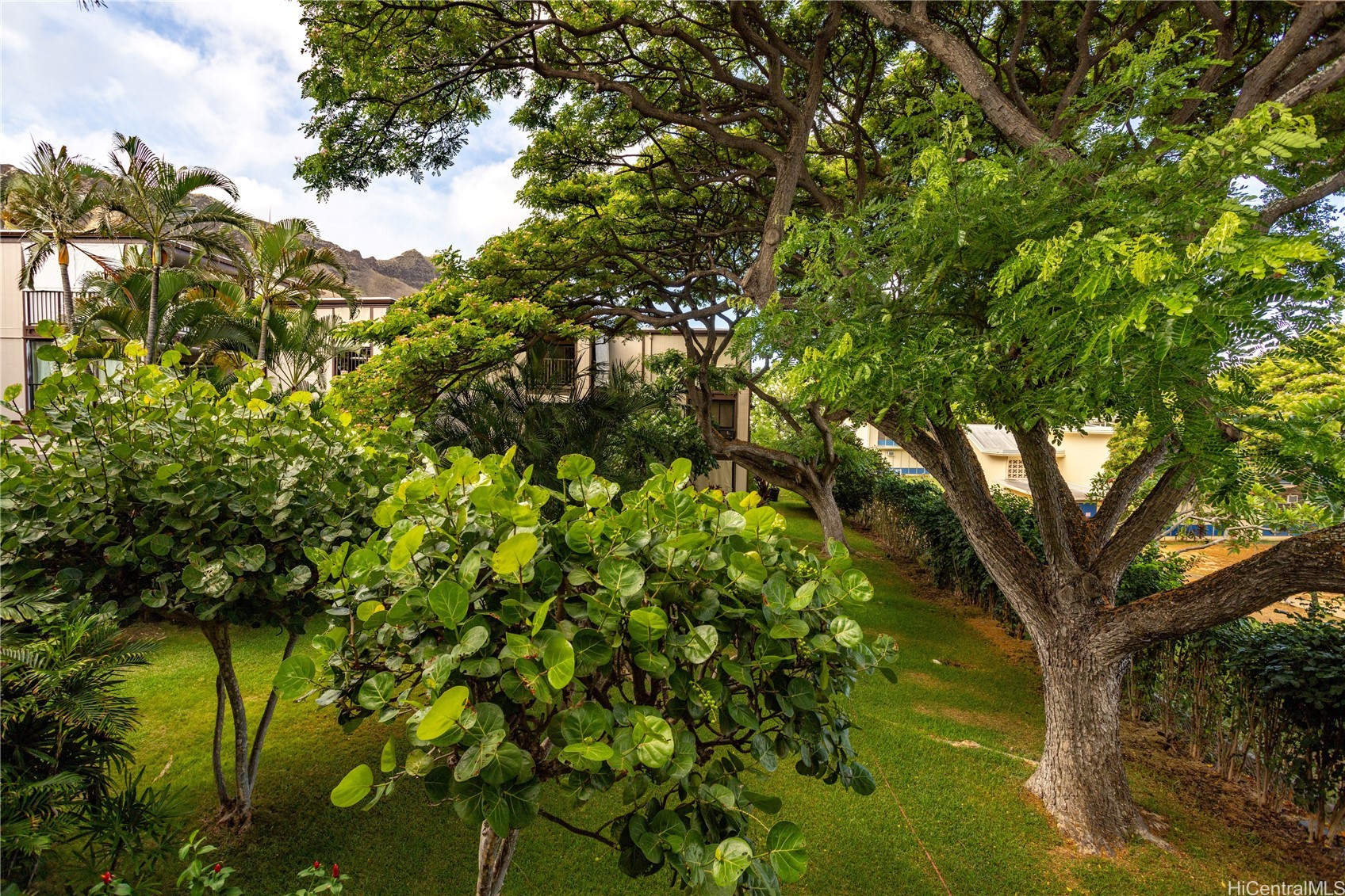 3721 Kanaina Avenue 201 Property Photo 7