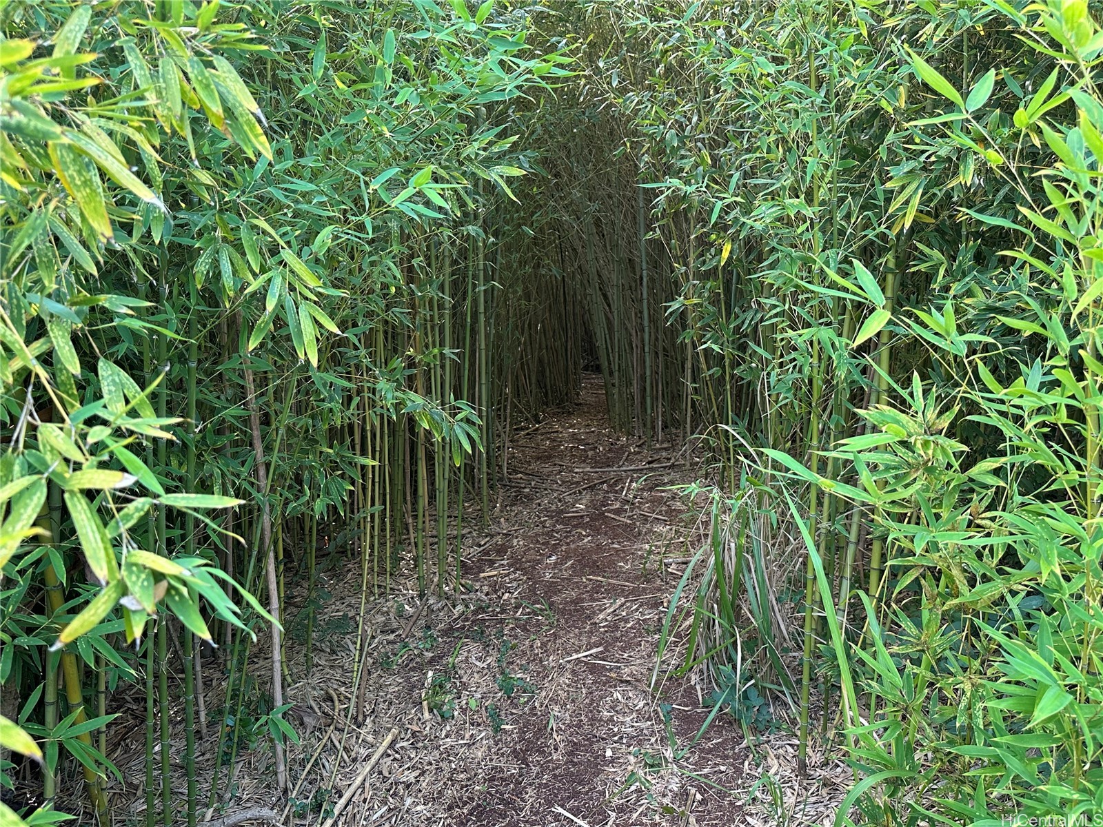 95-246 Wailawa Street Property Photo 21