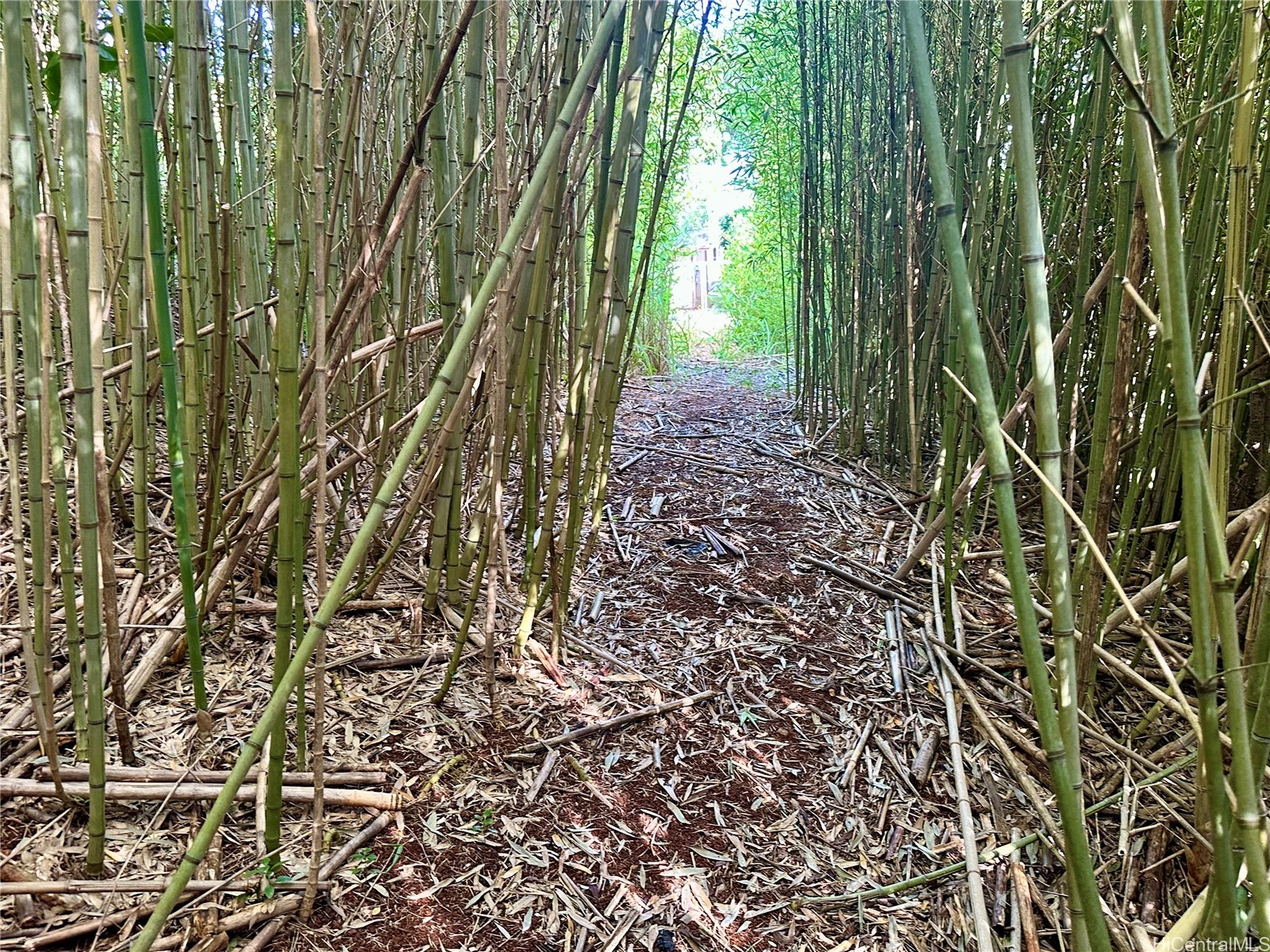 95-246 Wailawa Street Property Photo 24