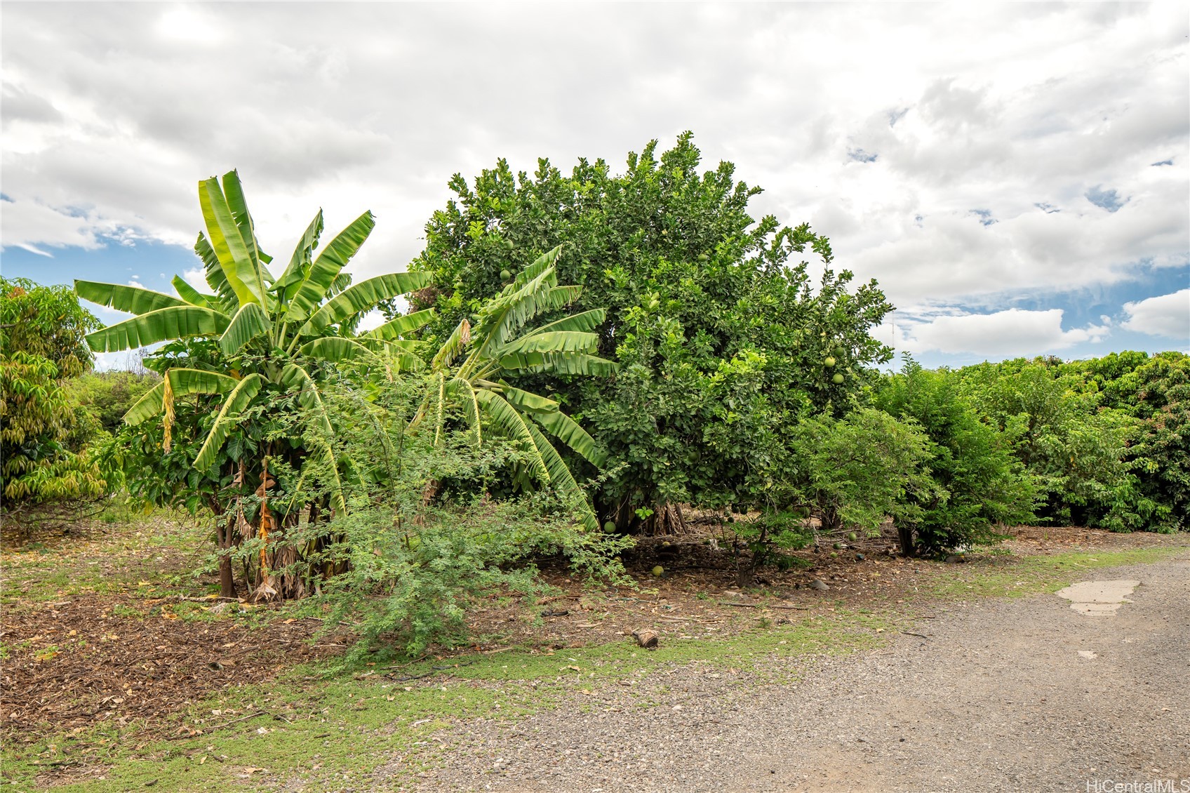 86-347 Halona Road Property Photo 17