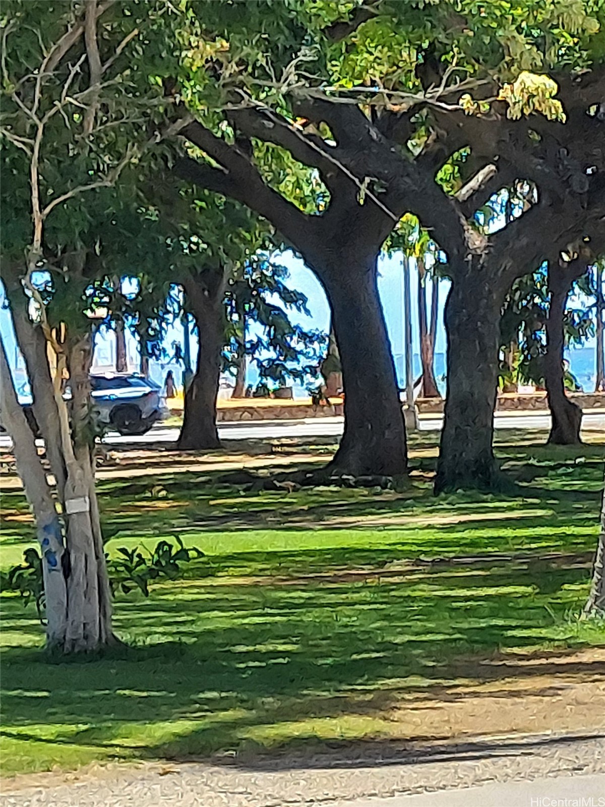 134 Kapahulu Avenue 405 Property Photo 1