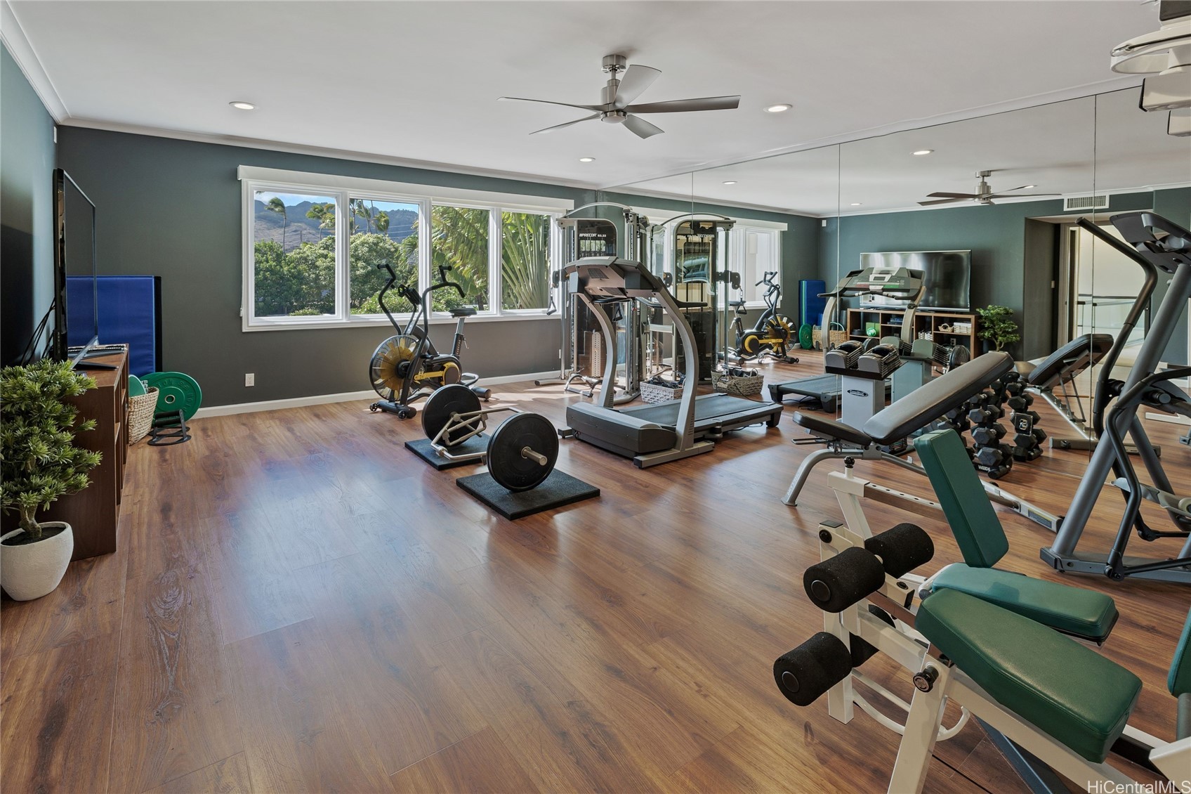 202517032 Property Photo 19