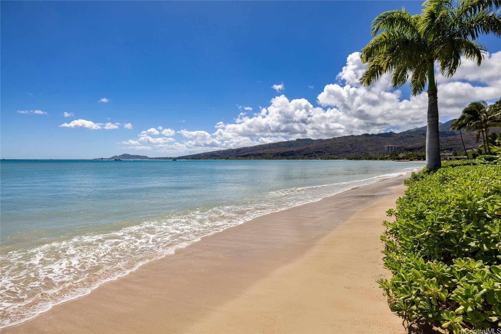 202517032 Property Photo 24